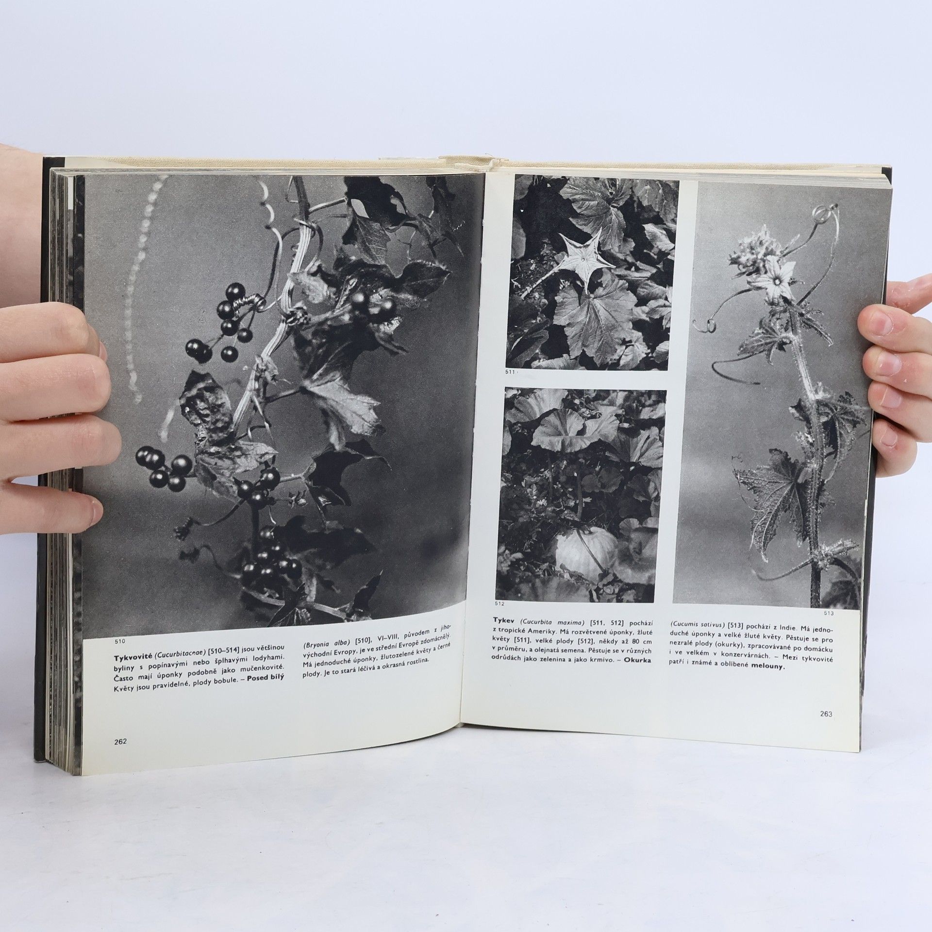 František Antonín Novák Velký obrazový atlas rostlin
