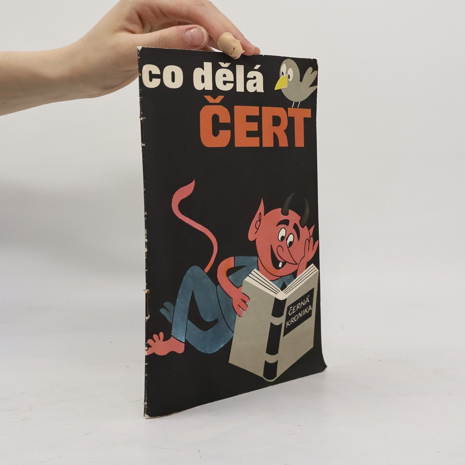 Autorenkollektiv Co dělá čert