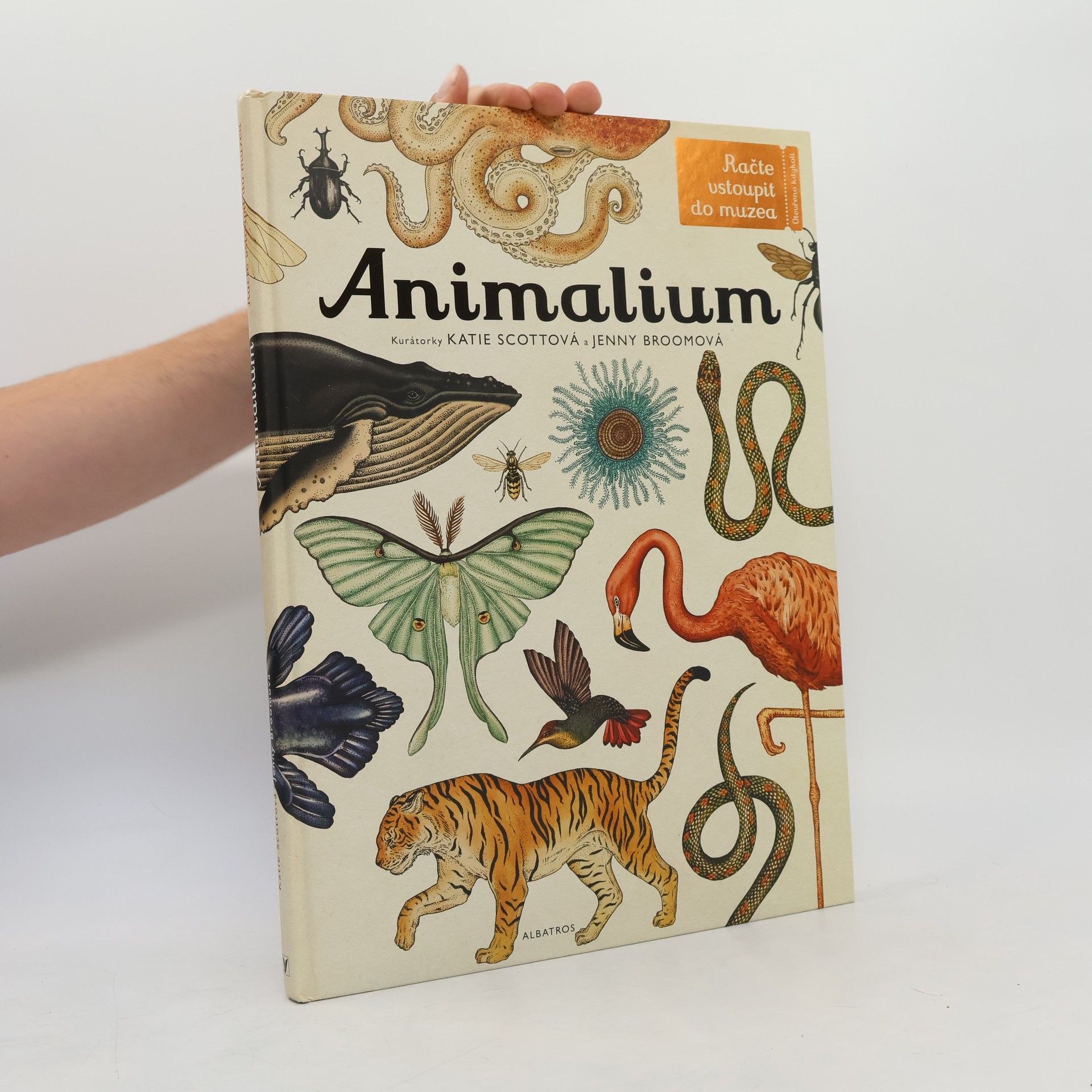 Jenny Broom Animalium