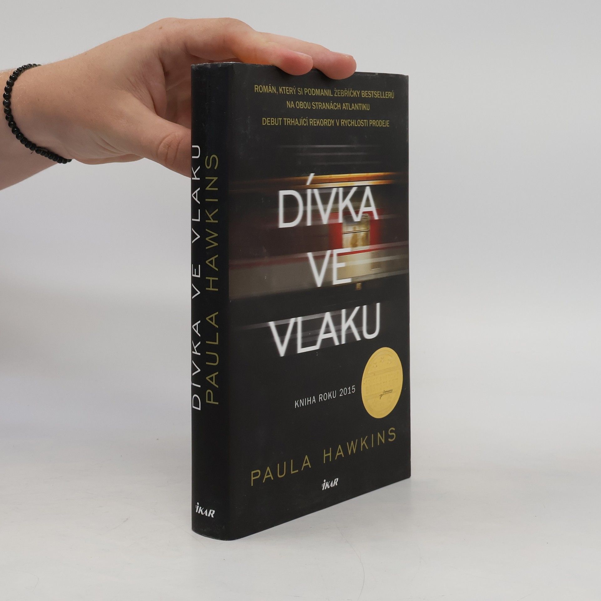 Dívka ve vlaku