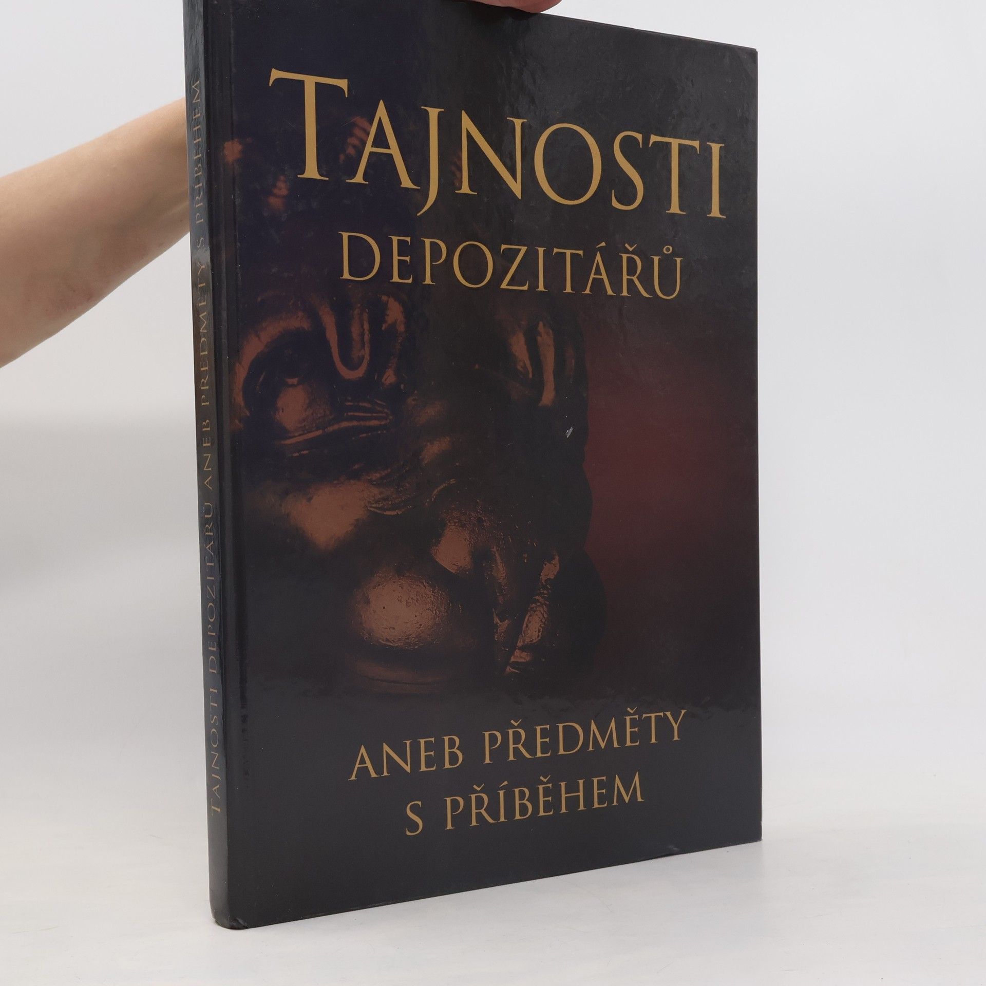 Kolektív autorov Tajnosti depozitářů aneb Předměty s příběhem