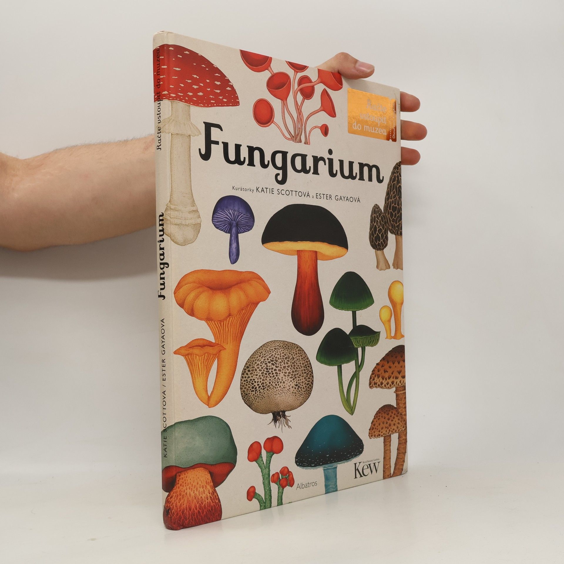 David L. Hawksworth Fungarium