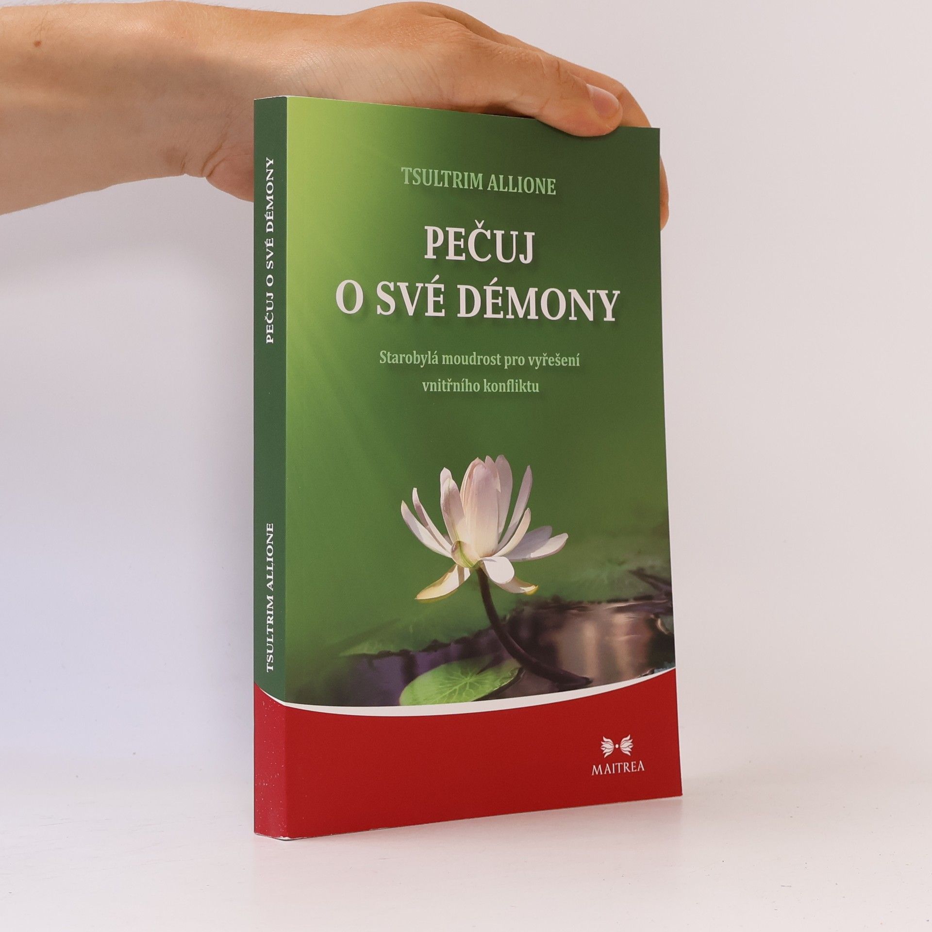 Tsultrim Allione Pečuj o své démony. Starobylá moudrost pro vyřešení vnitřního konfliktu