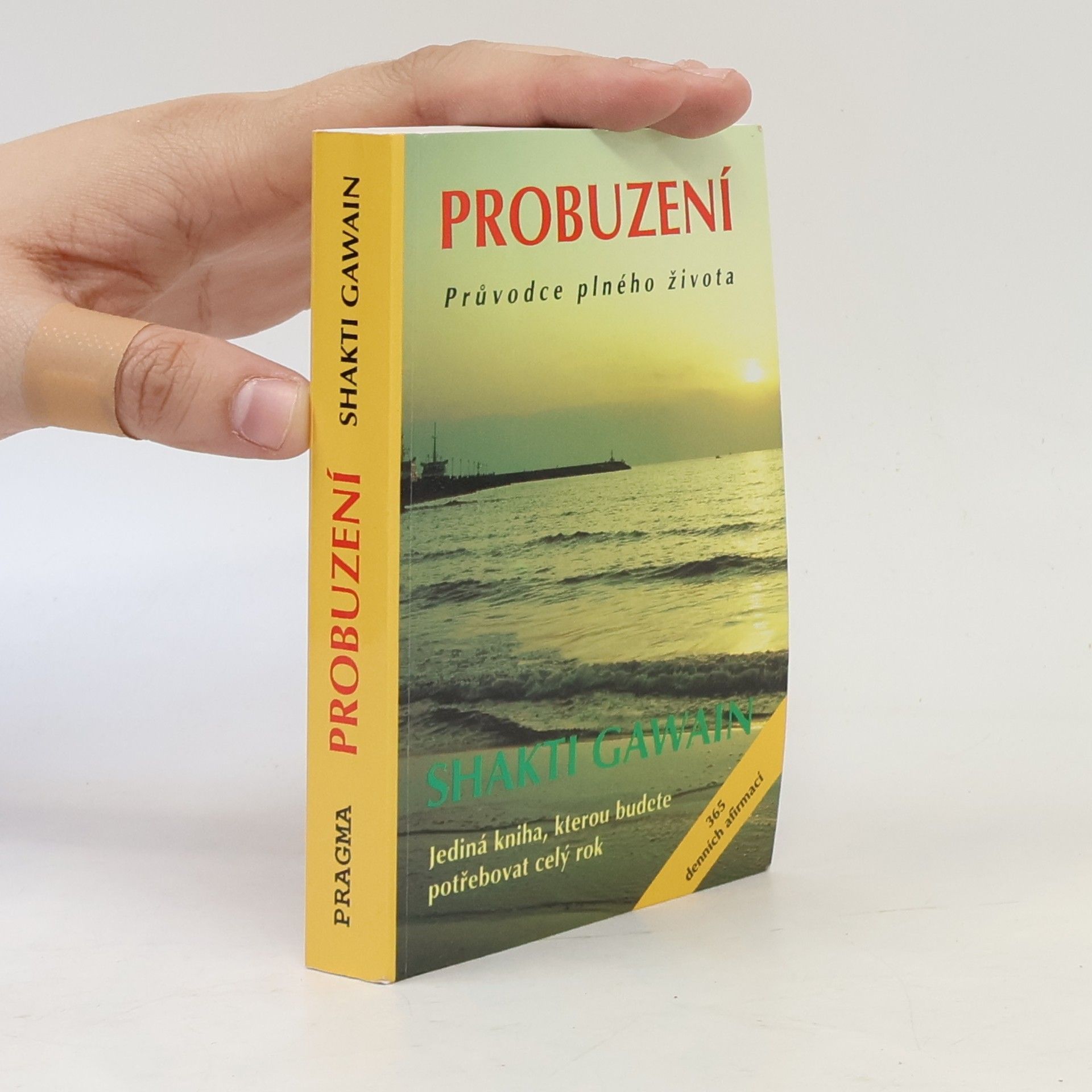 Shakti Gawain Probuzení. Průvodce plného života
