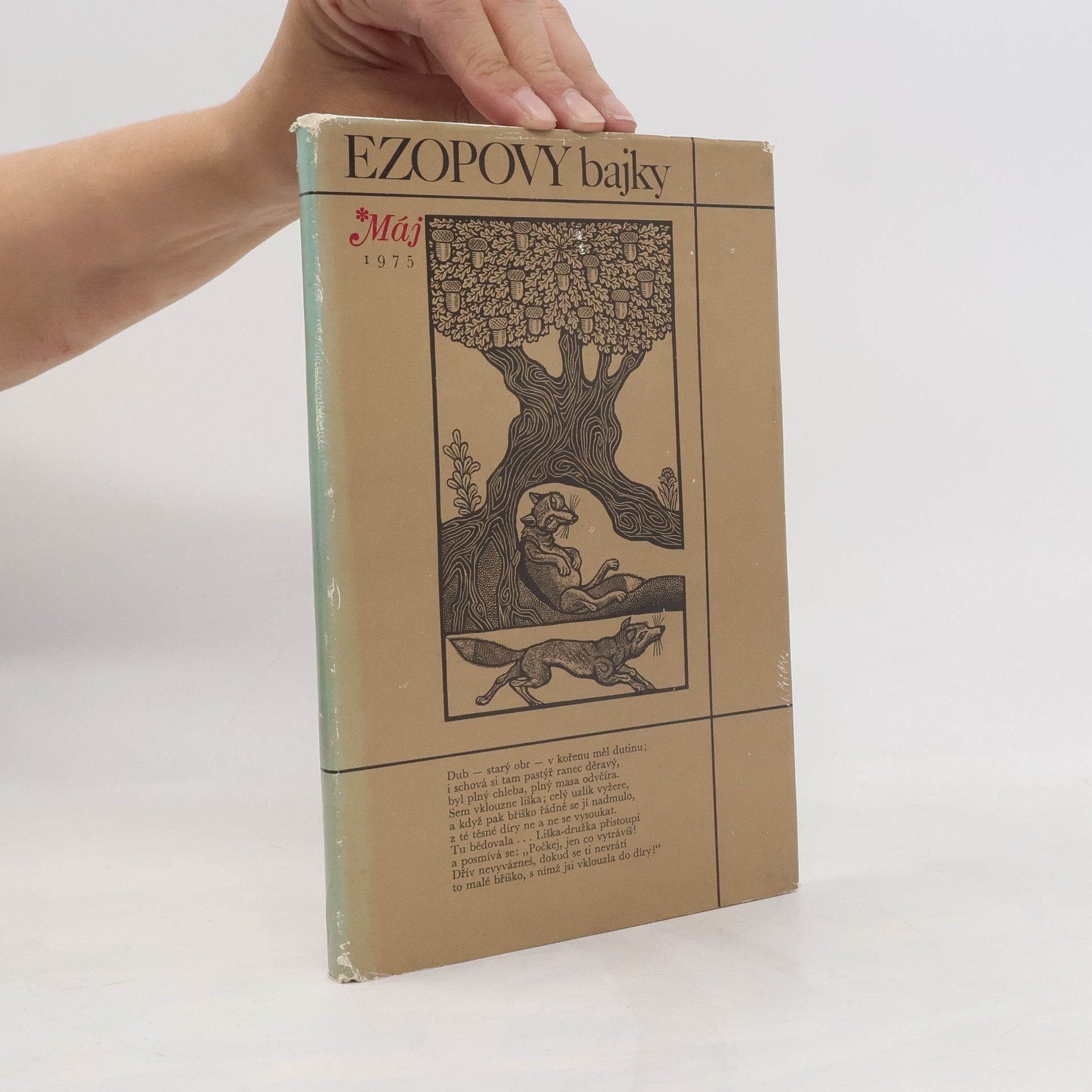 Autorenkollektiv Ezopovy bajky