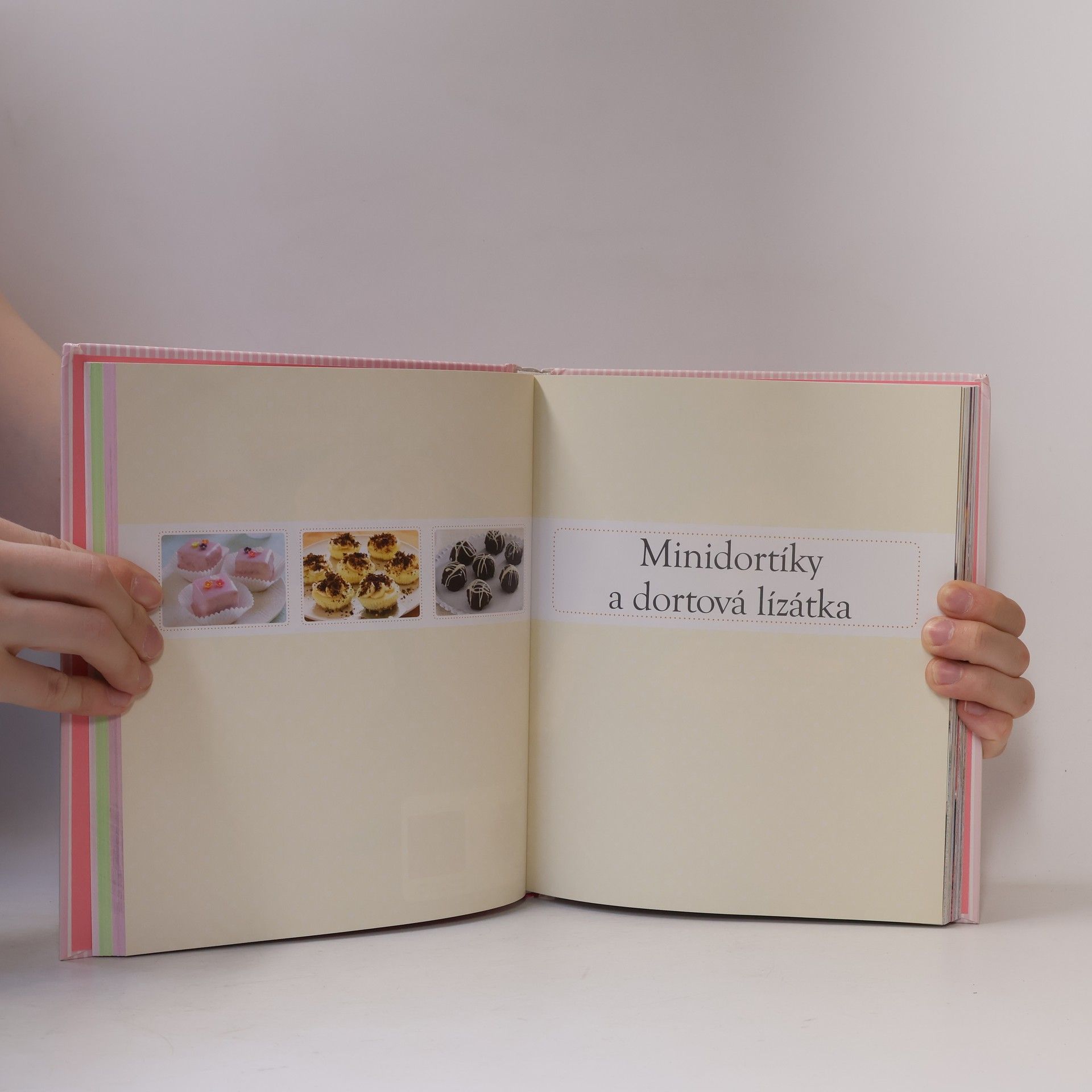 Autorenkollektiv Dortíky a dortíčky