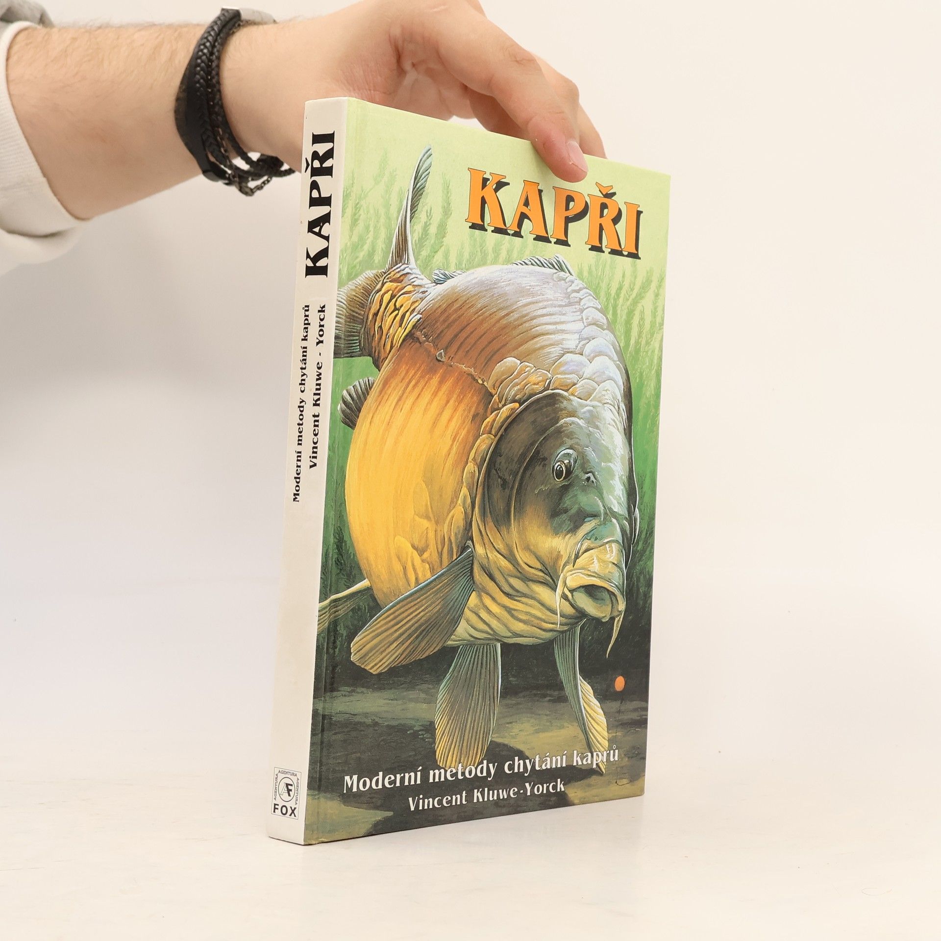 Vincent KluweYorck Kapři. Moderní metody chytání kaprů