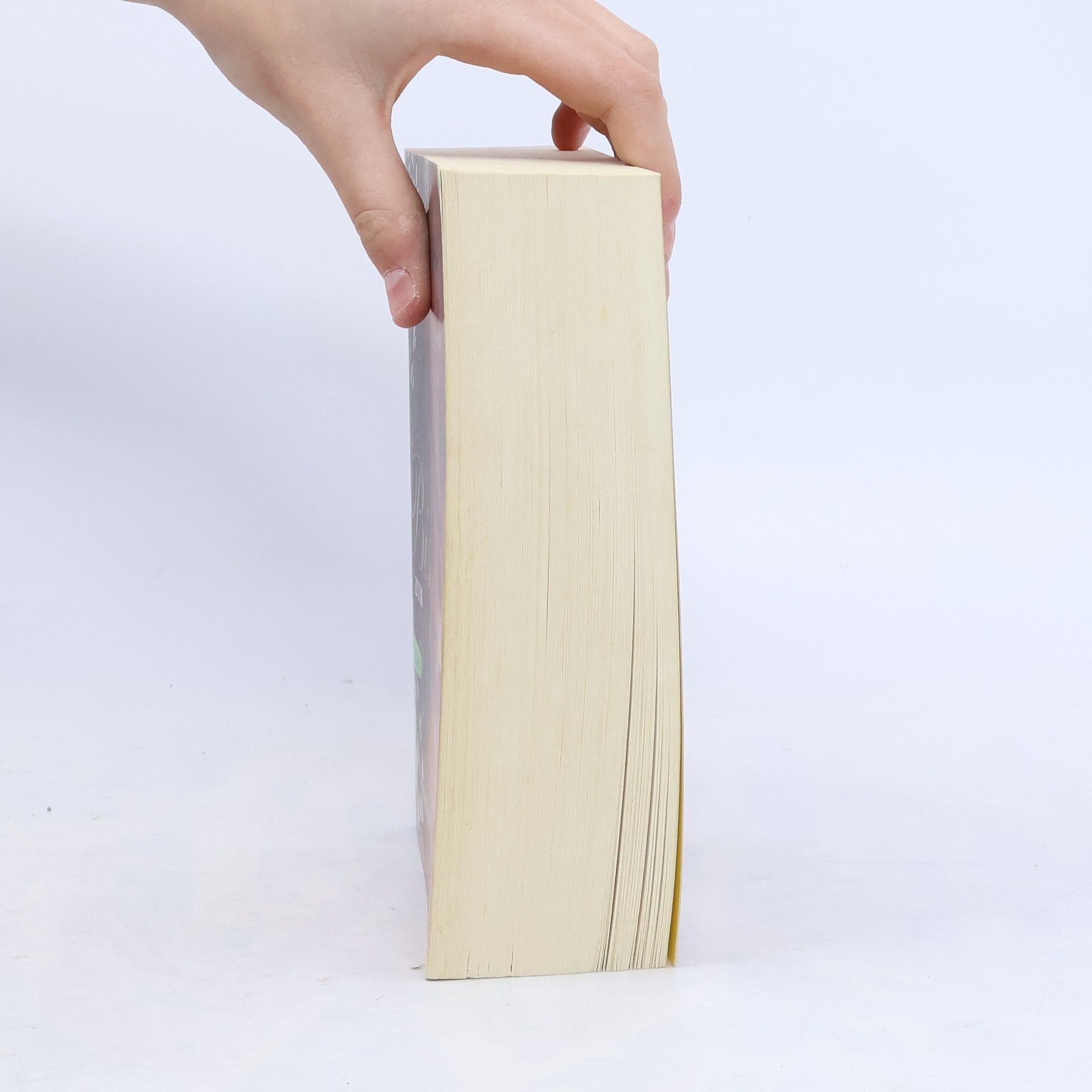 Stephenie Meyer Biss zum Abendrot