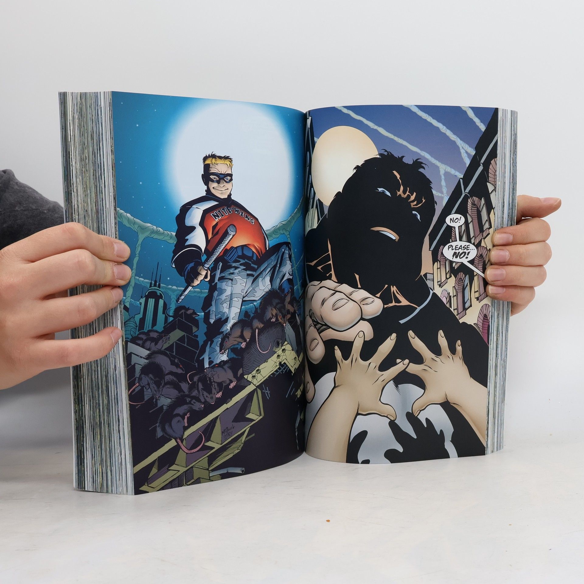 Chuck Dixon Nightwing: A Knight in Bludhaven Compendium Book One