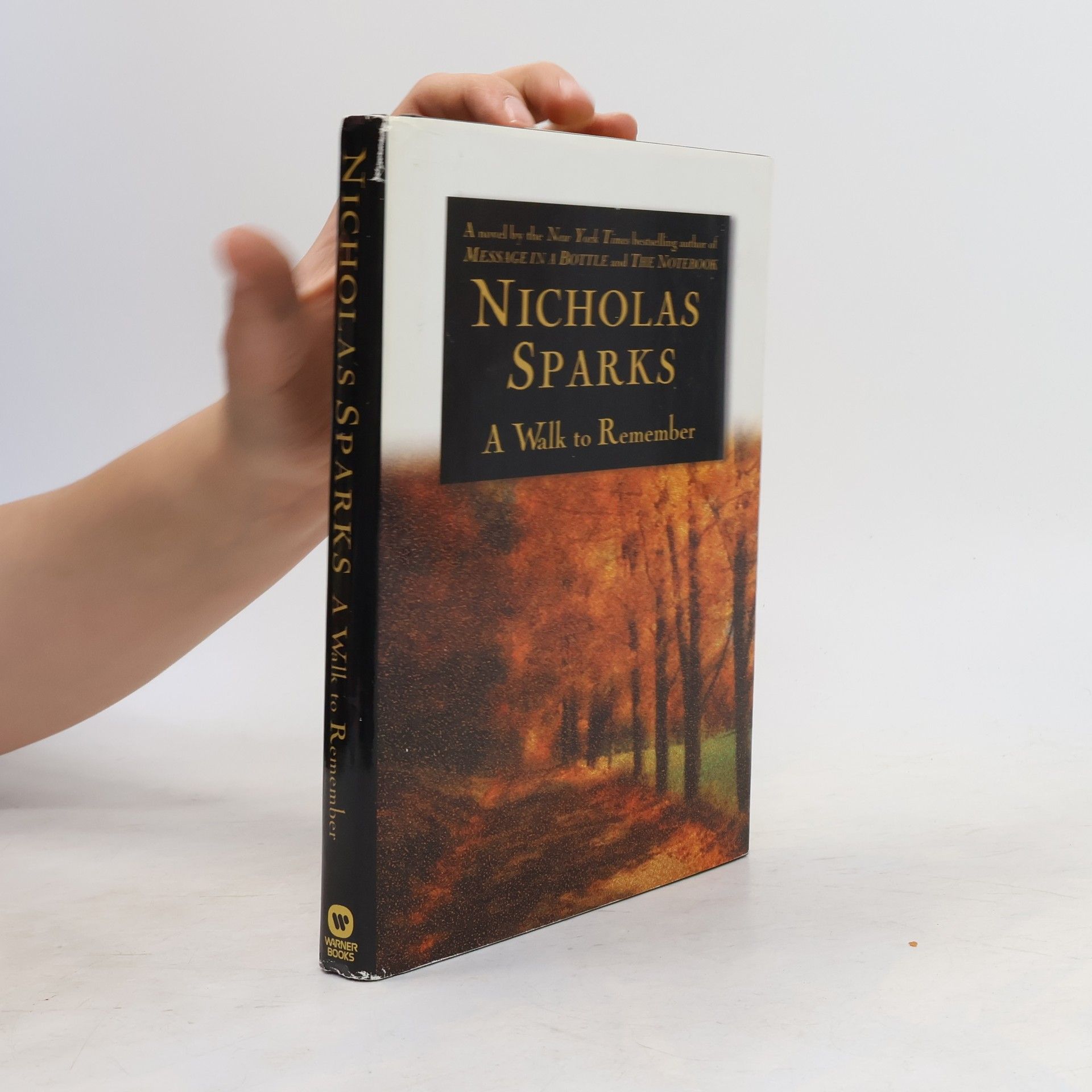 Nicholas Sparks A Walk to Remember