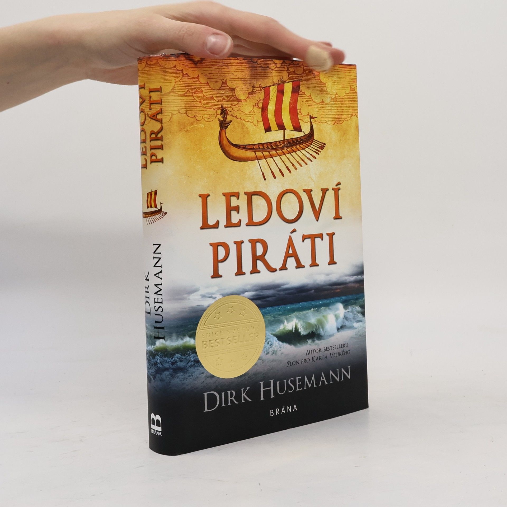 Dirk Husemann Ledoví piráti