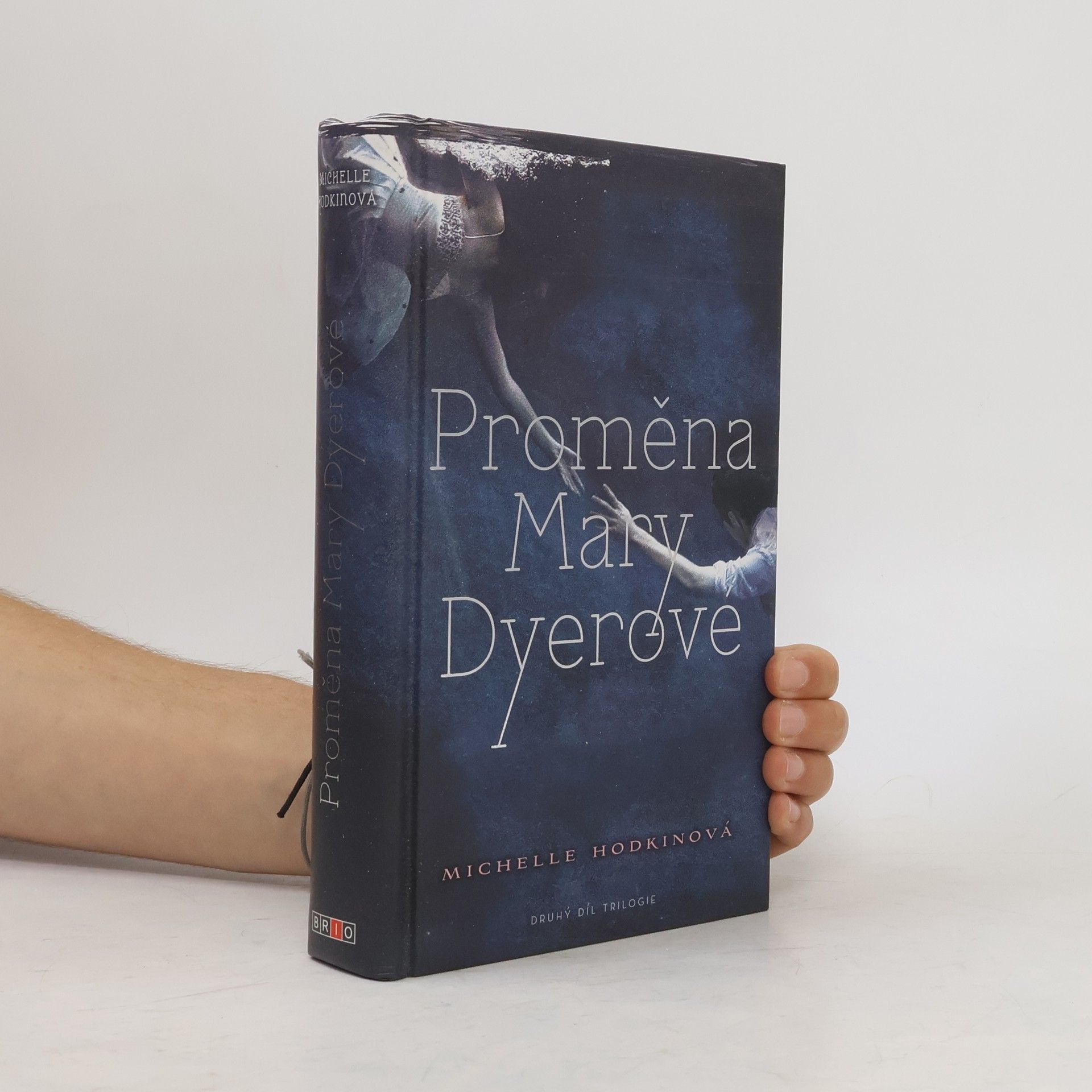 Michelle Hodkin Proměna Mary Dyerové