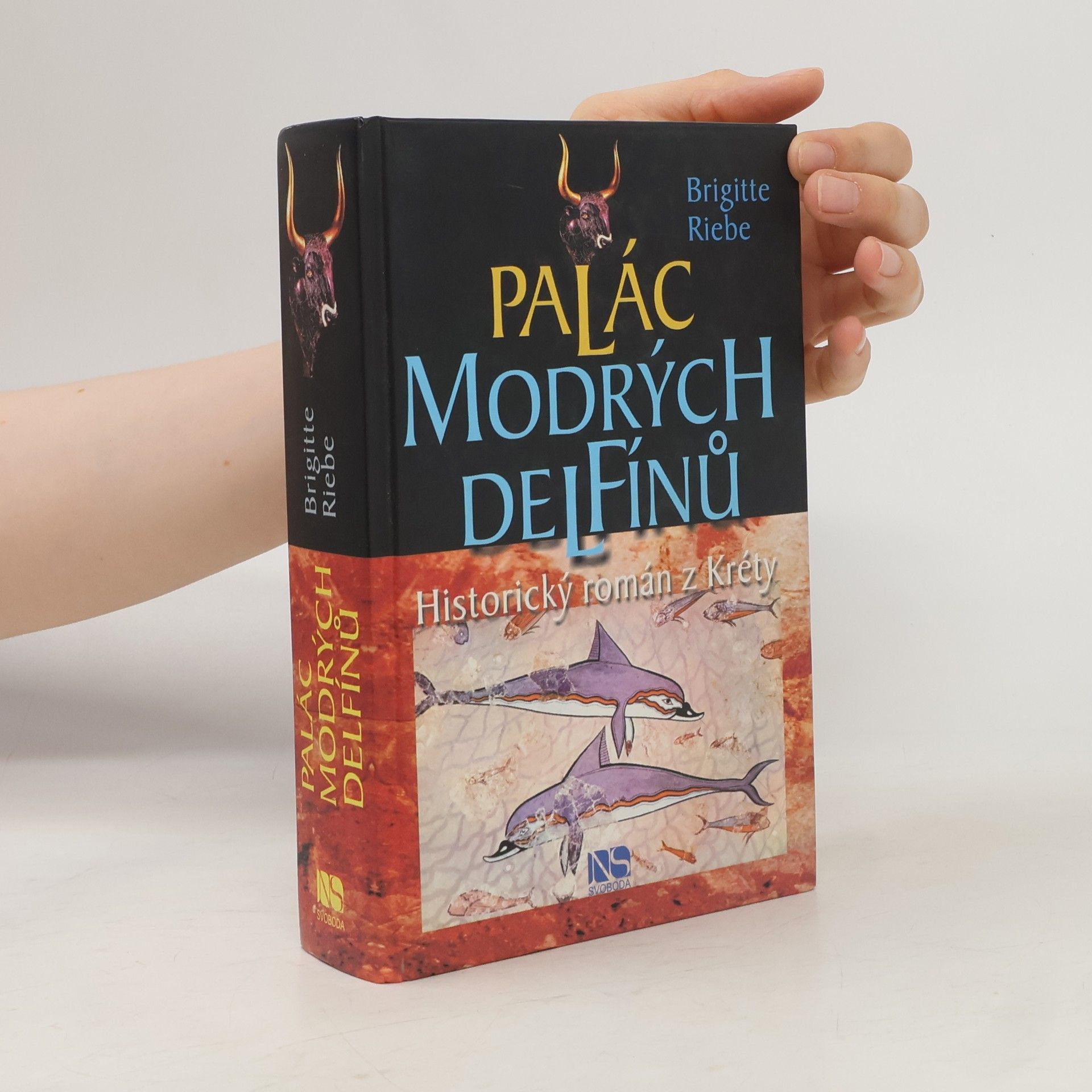 Brigitte Riebe Palác modrých delfínů