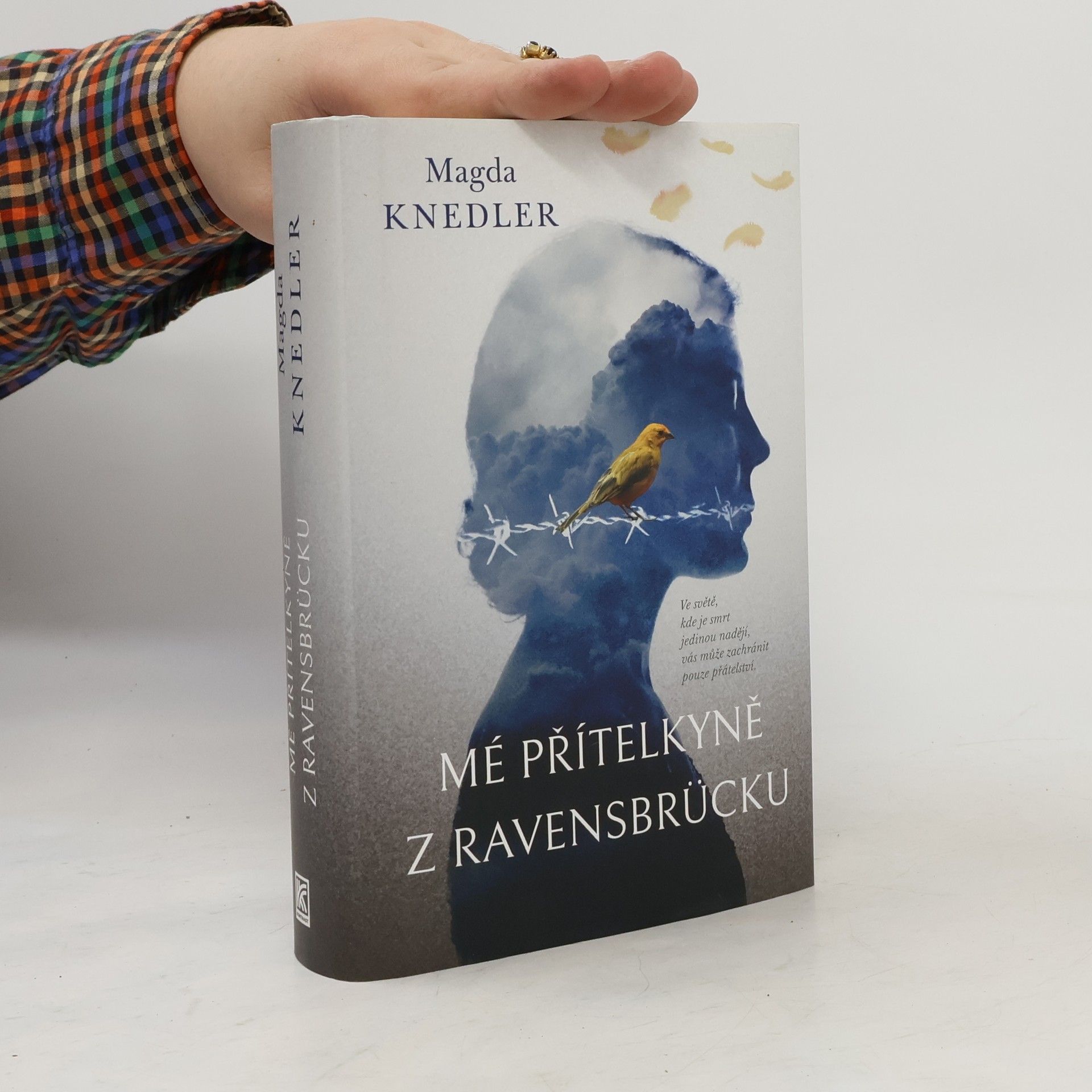 Magdalena Knedler Mé přítelkyně z Ravensbrücku