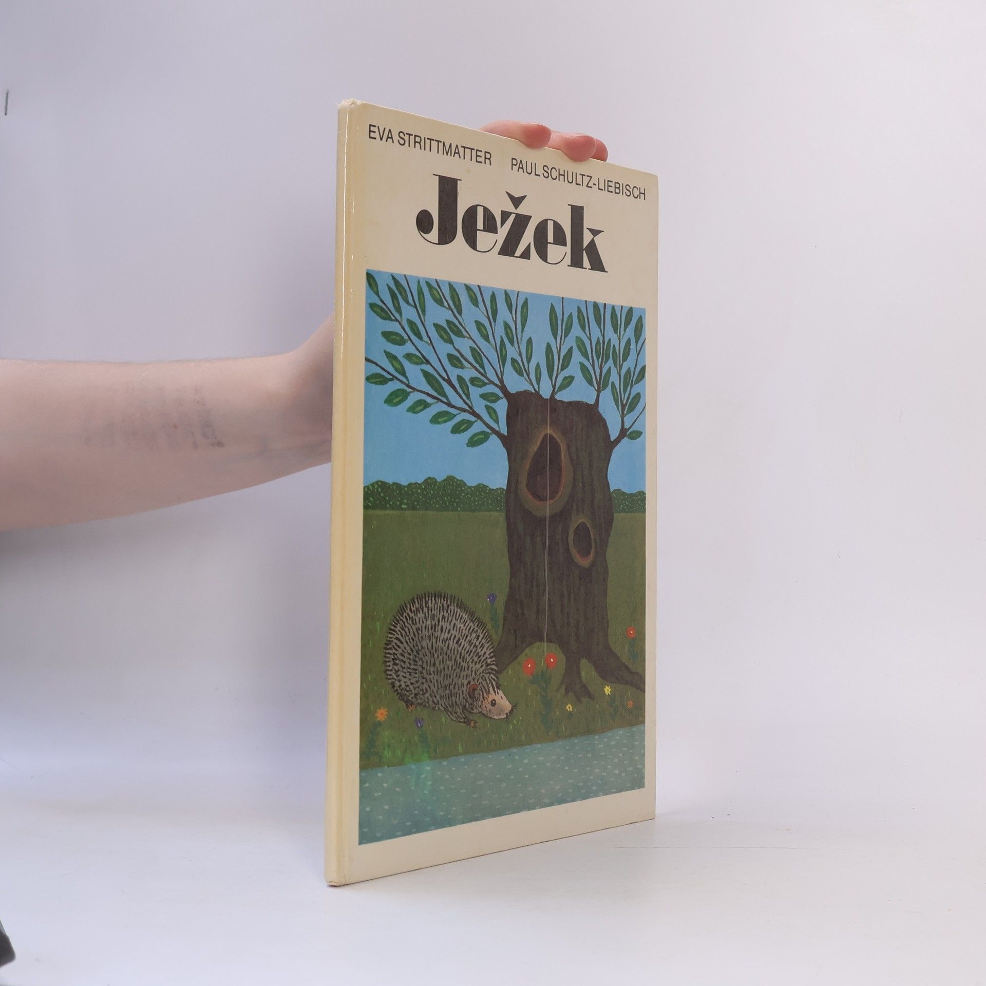 Ježek