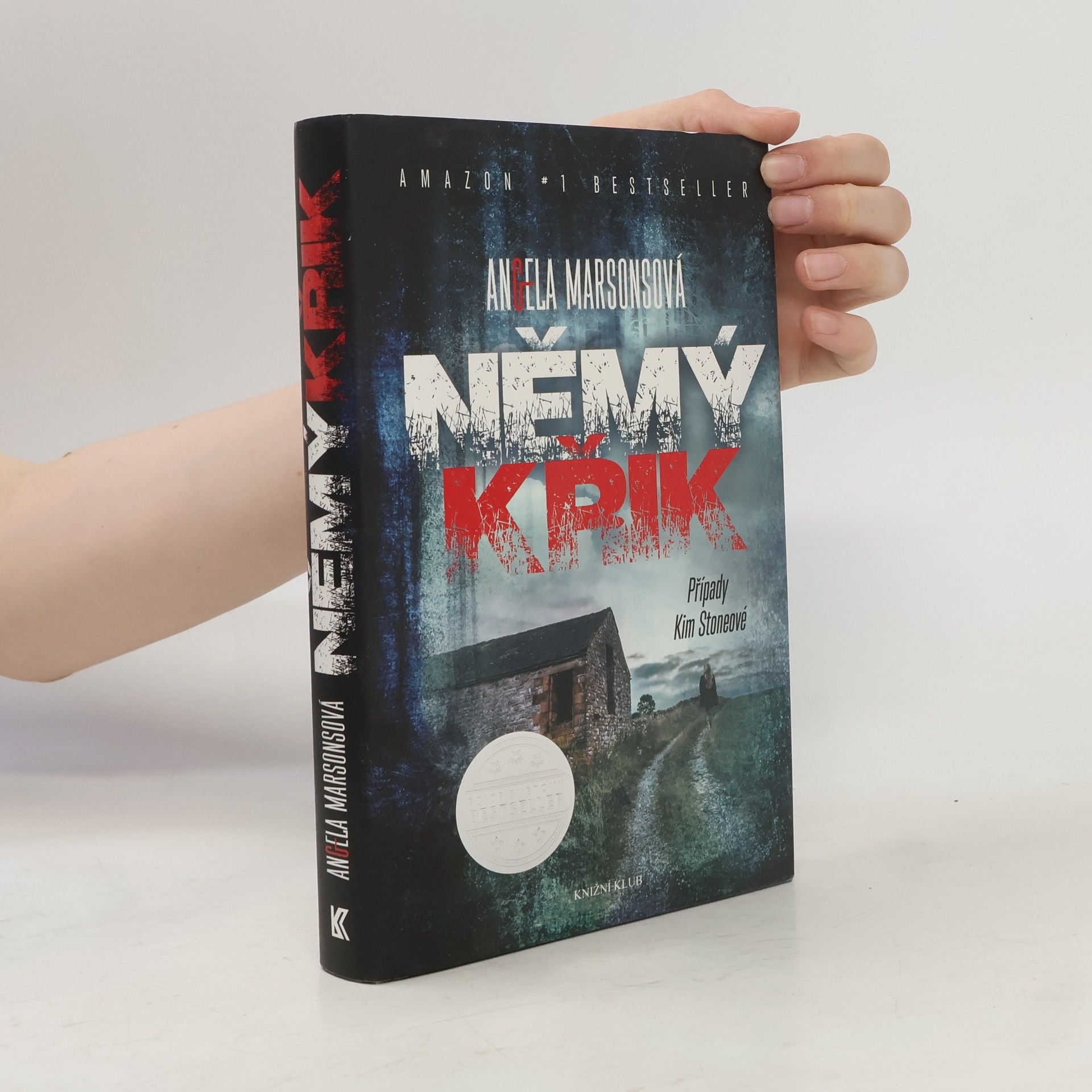 Angela Marsons Němý křik