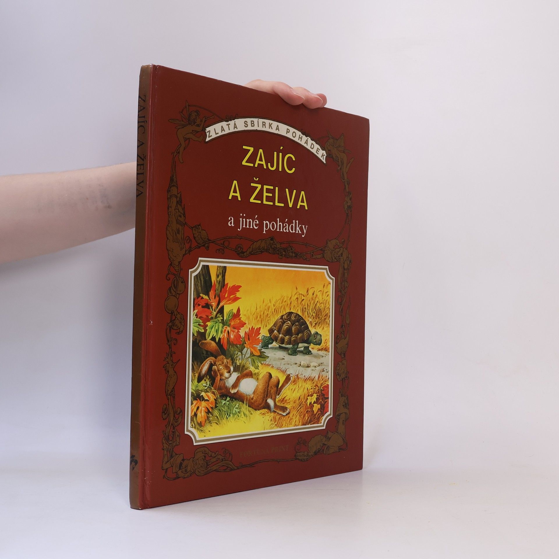 Autores varios Zajíc a želva a jiné pohádky