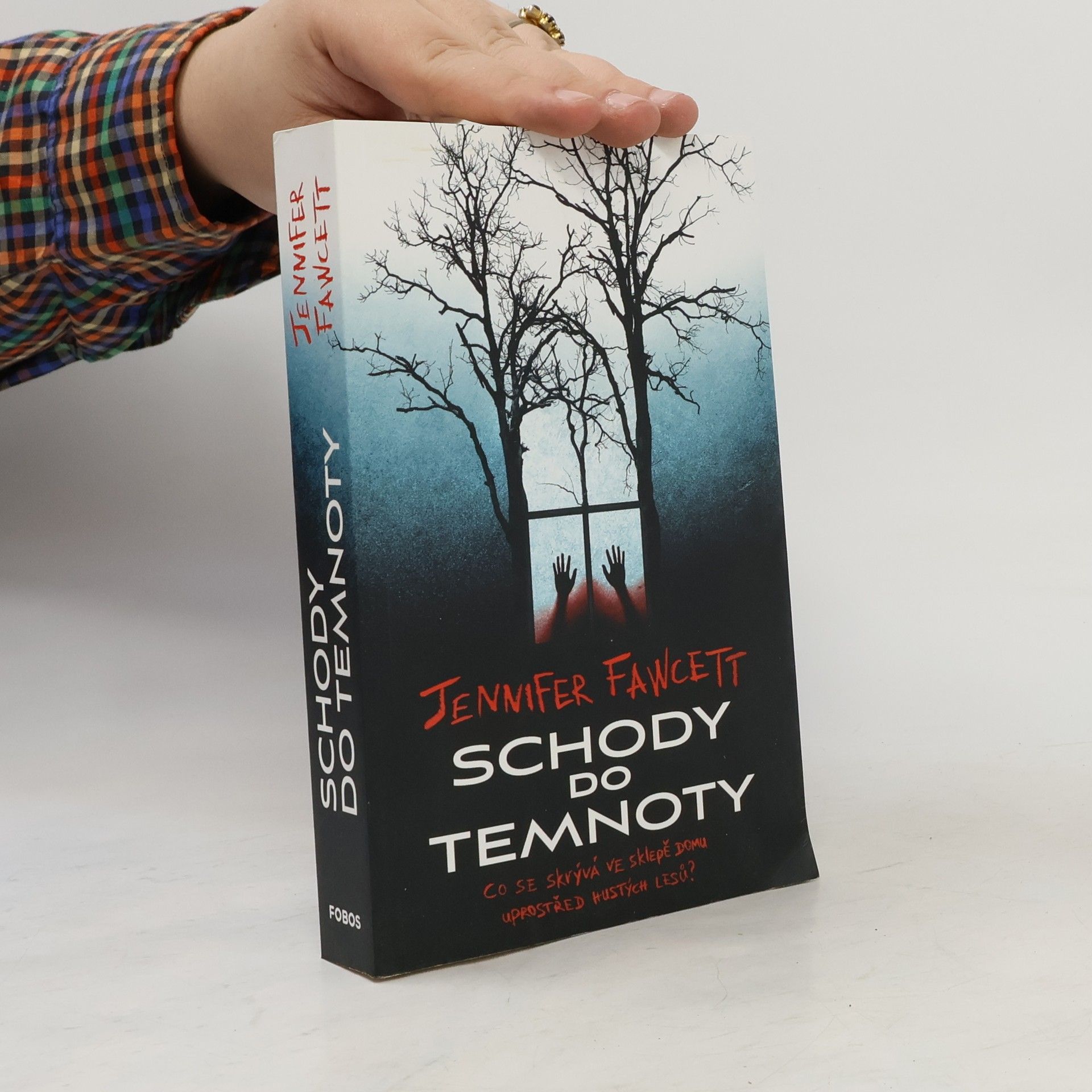Jennifer Fawcett Schody do temnoty