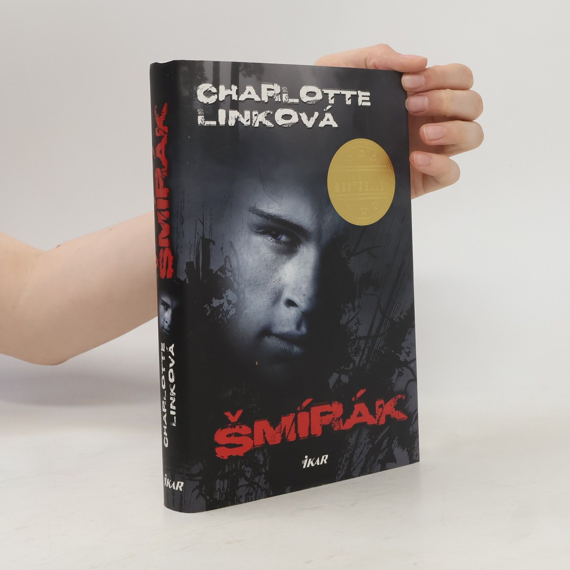 Charlotte Link Šmírák