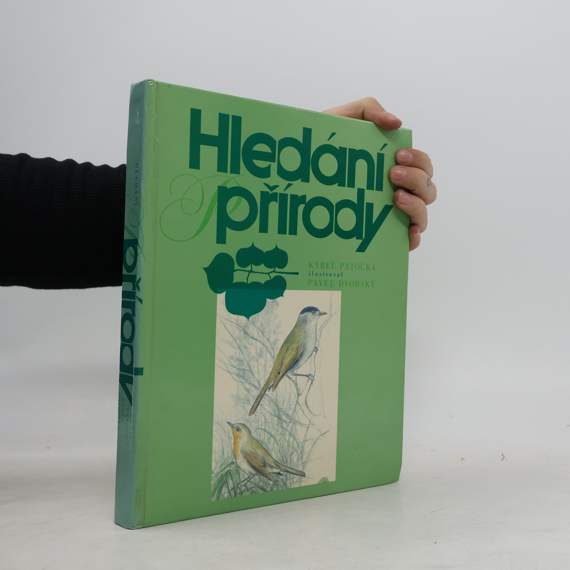 Karel Patočka Hledání přírody