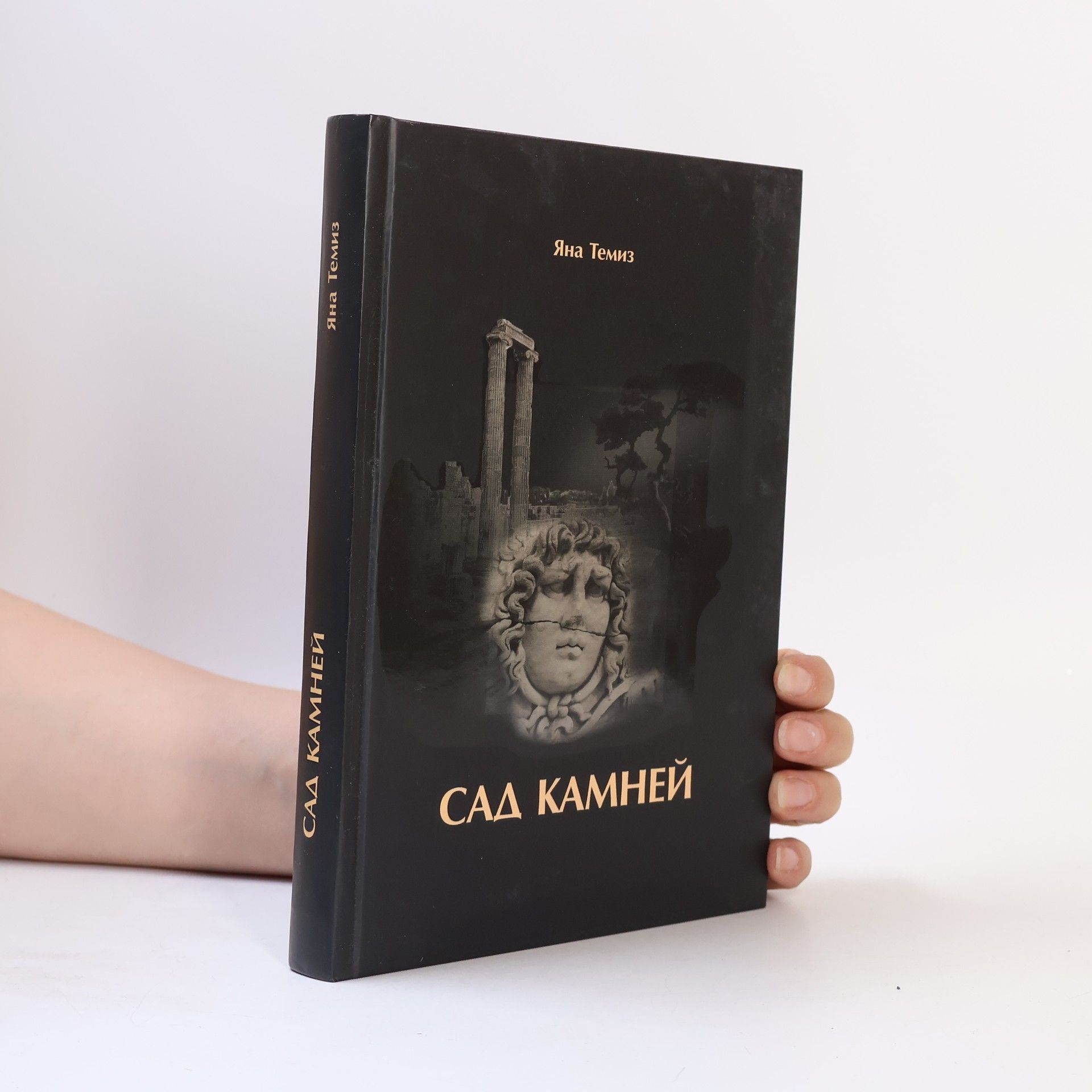 Яна Темиз Сад камней