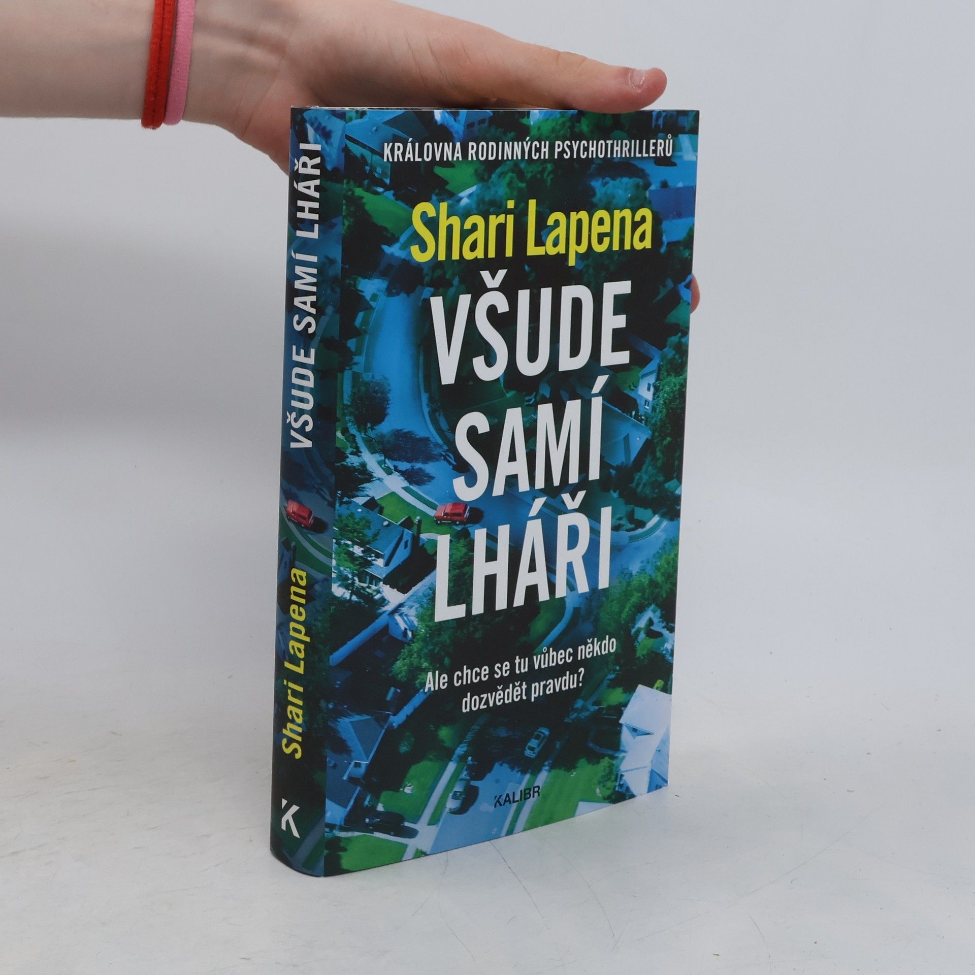 Shari Lapena Všude samí lháři