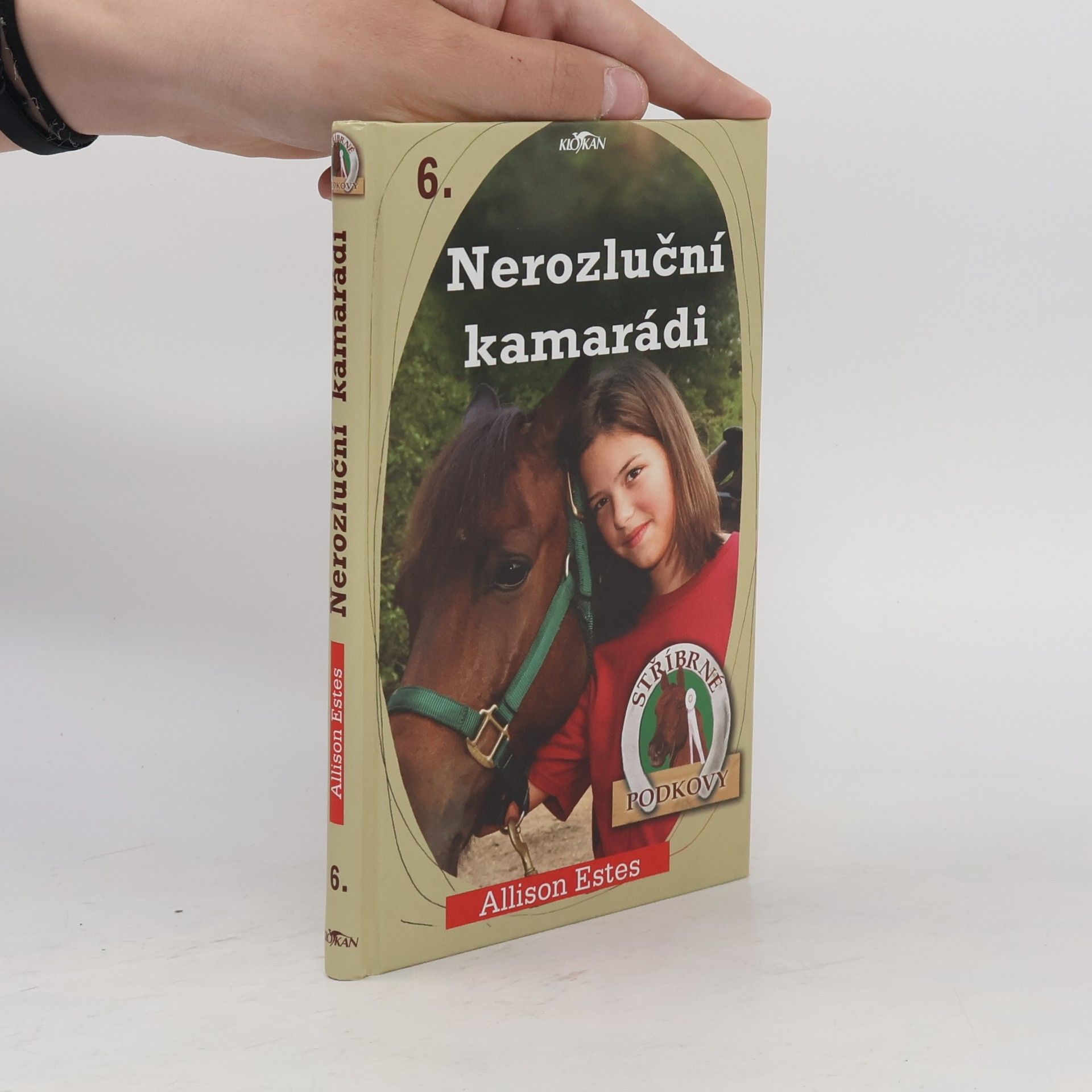Allison Estes Stříbrné podkovy. 6, Nerozluční kamarádi
