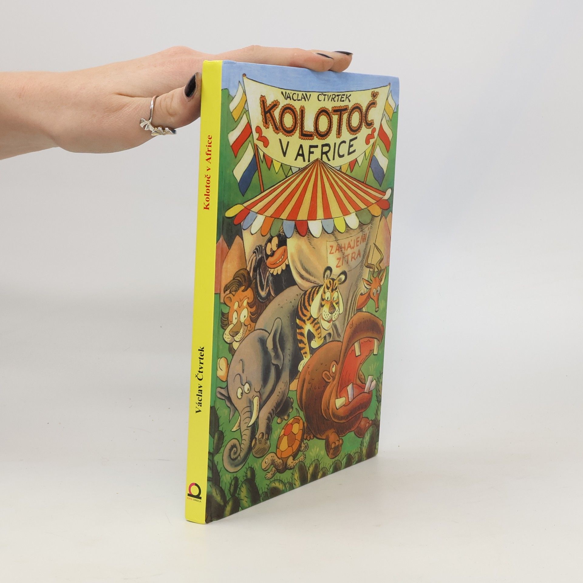 Kolotoč v Africe