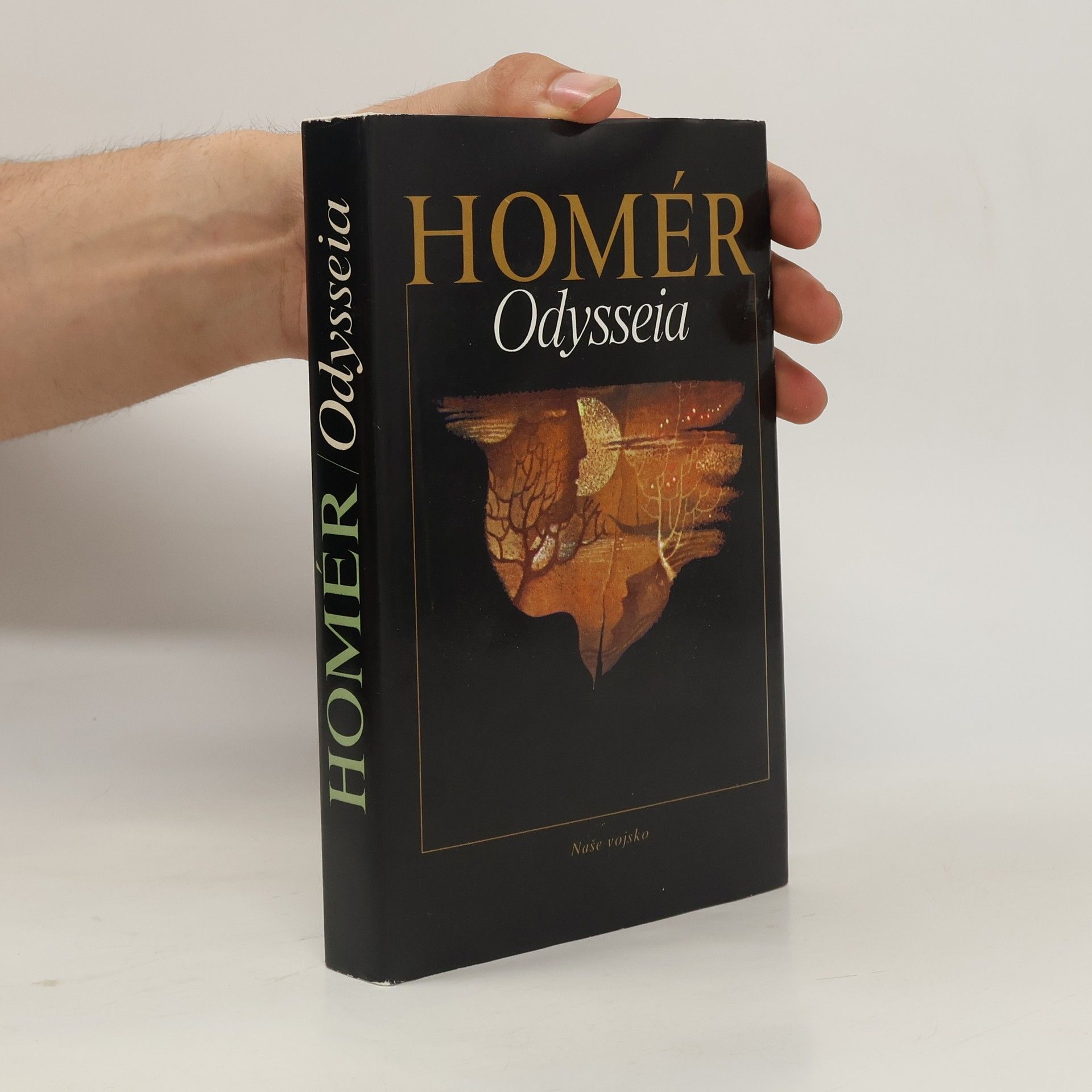 Homér Odysseia