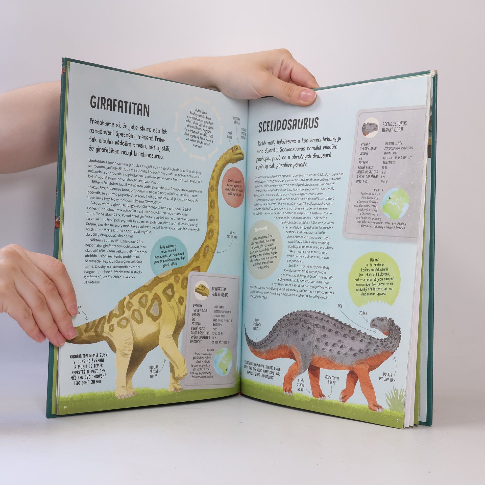 Richard Ferguson Úžasná doba dinosaurů