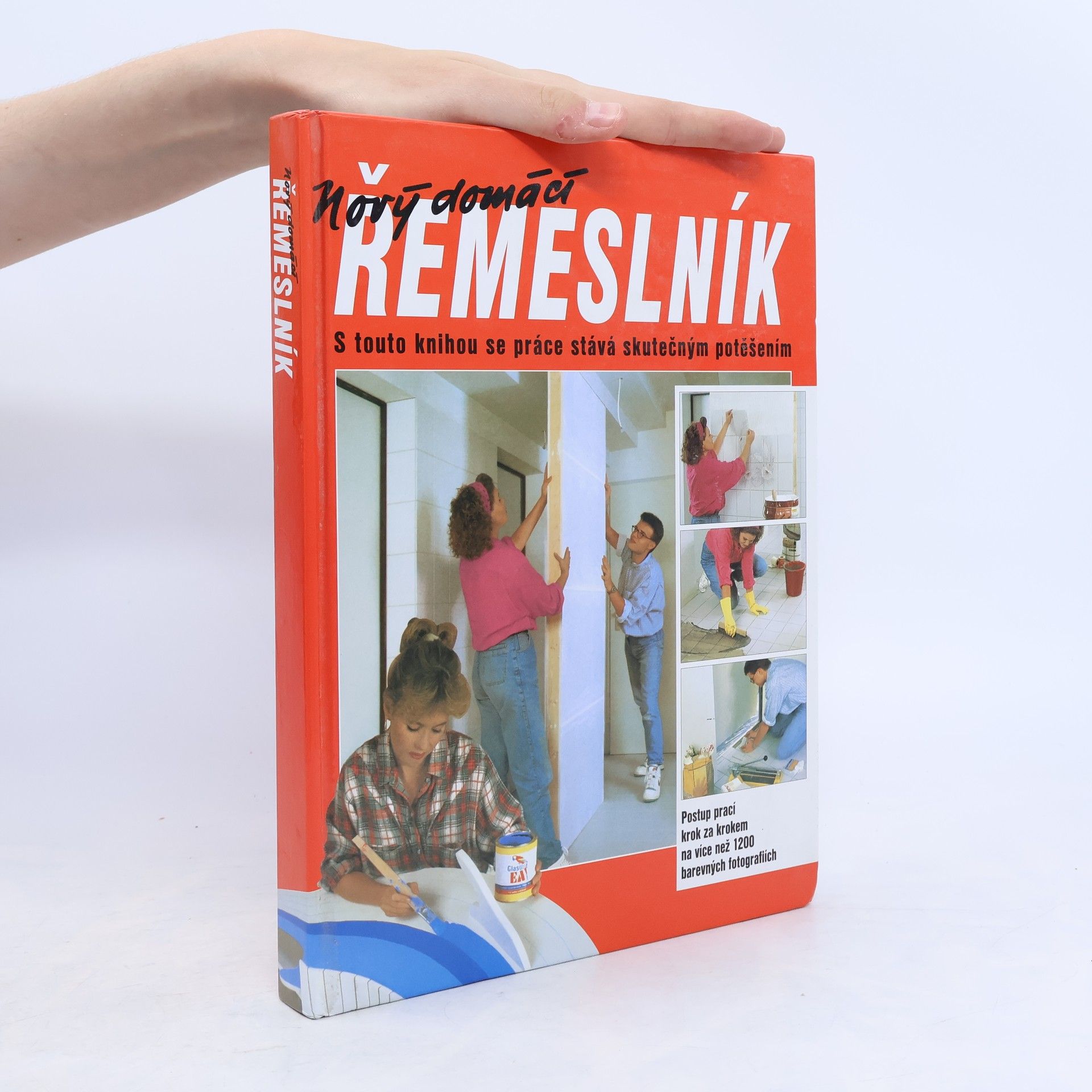Dieter Rex Nový domácí řemeslník