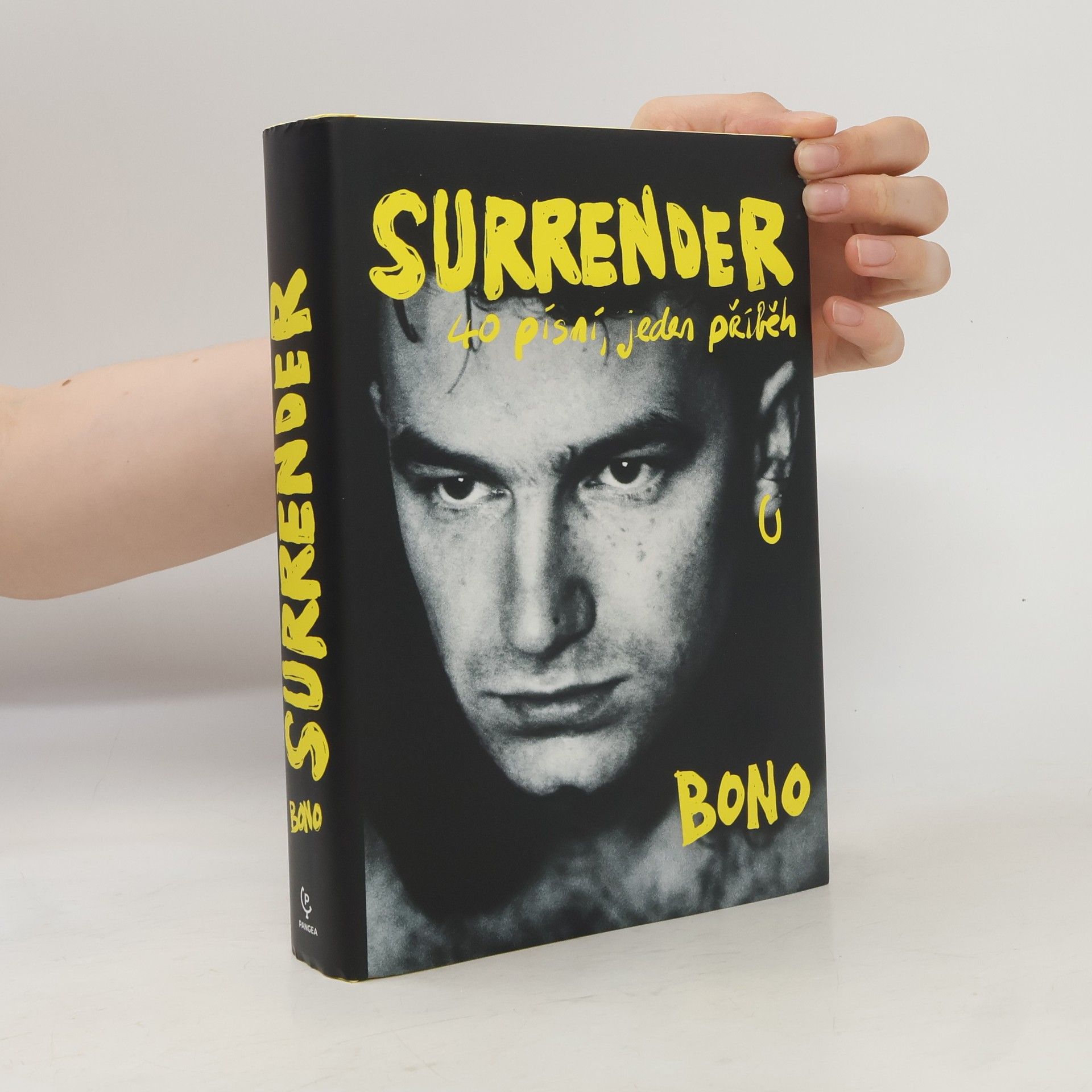 Bono Surrender : 40 písní, jeden příběh