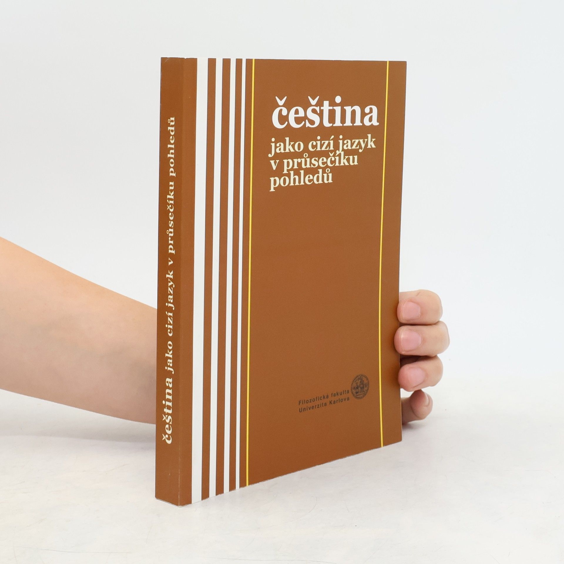 Čeština jako cizí jazyk v průsečíku pohledů