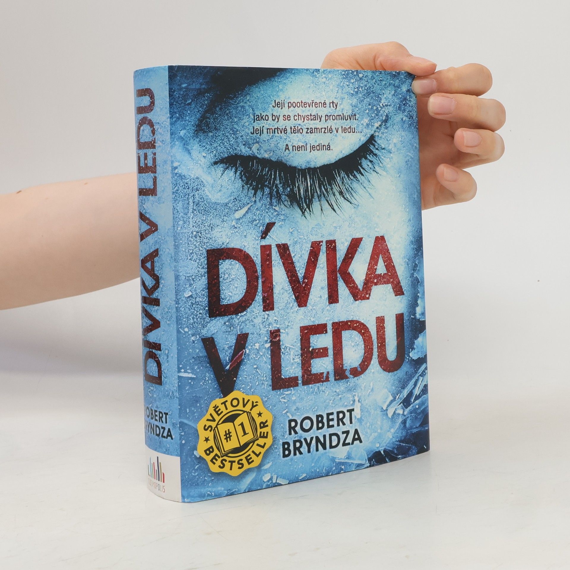 Robert Bryndza Dívka v ledu