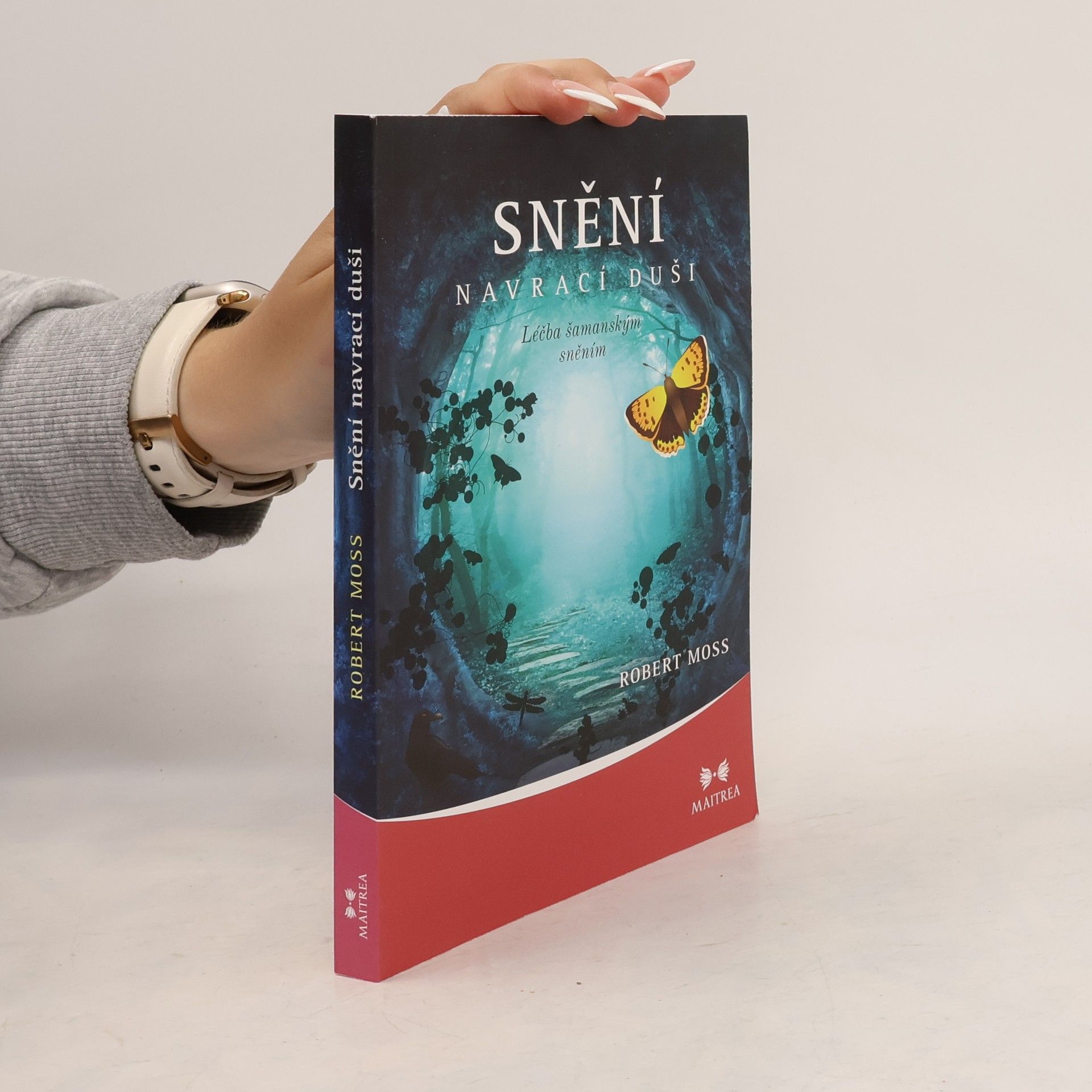 Robert Moss Snění navrací duši. Léčba šamanským sněním