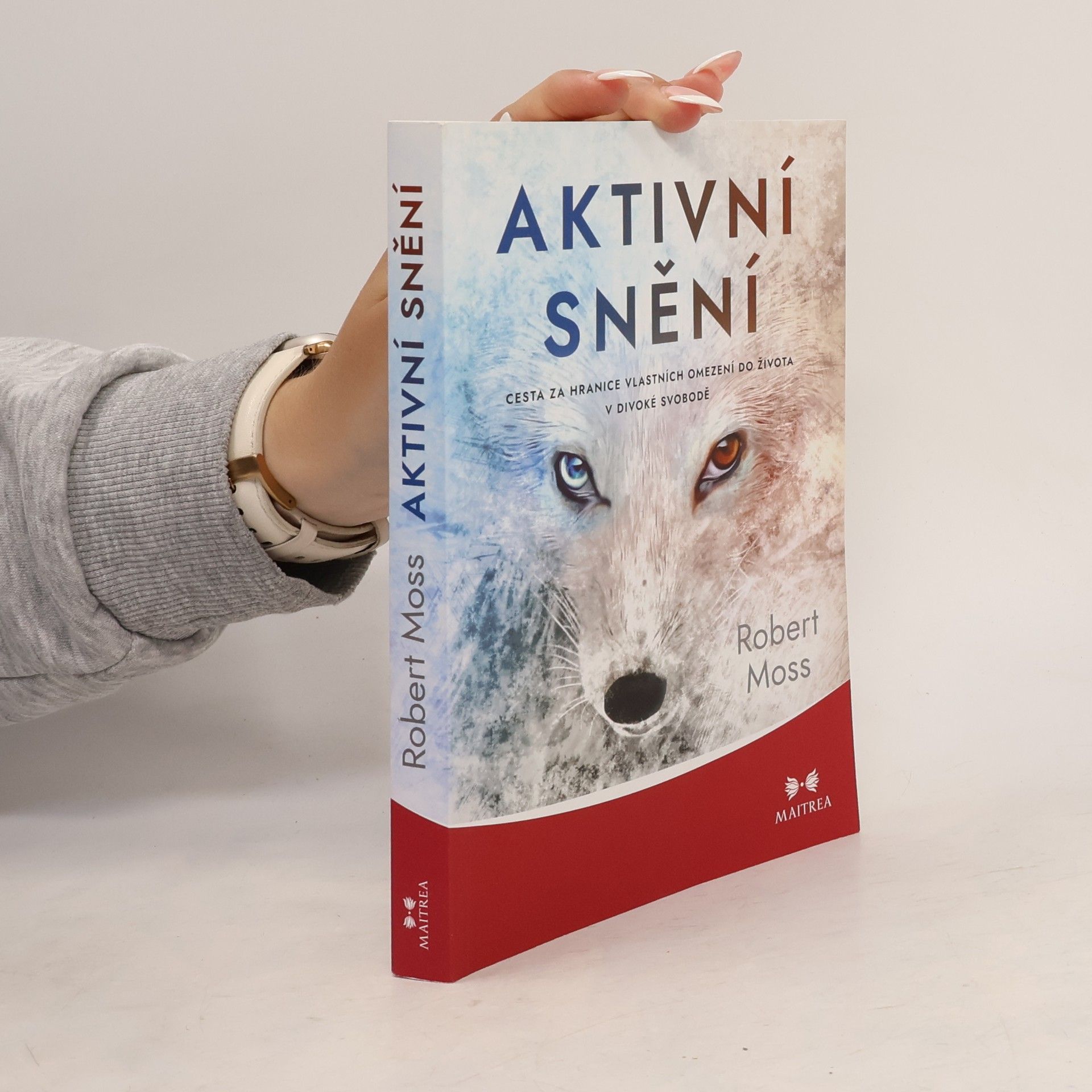 Robert Moss Aktivní snění