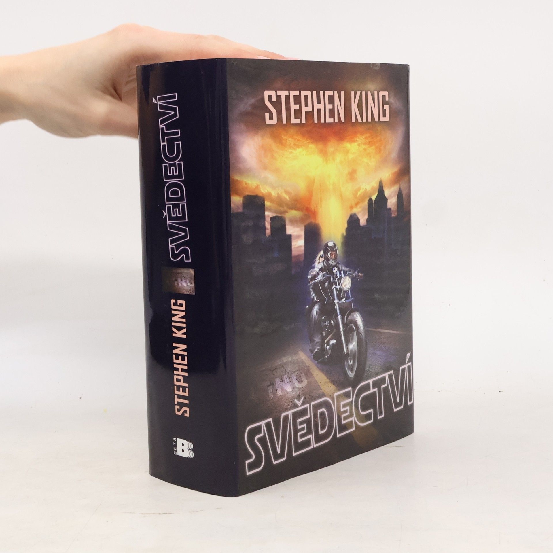 Stephen King Svědectví