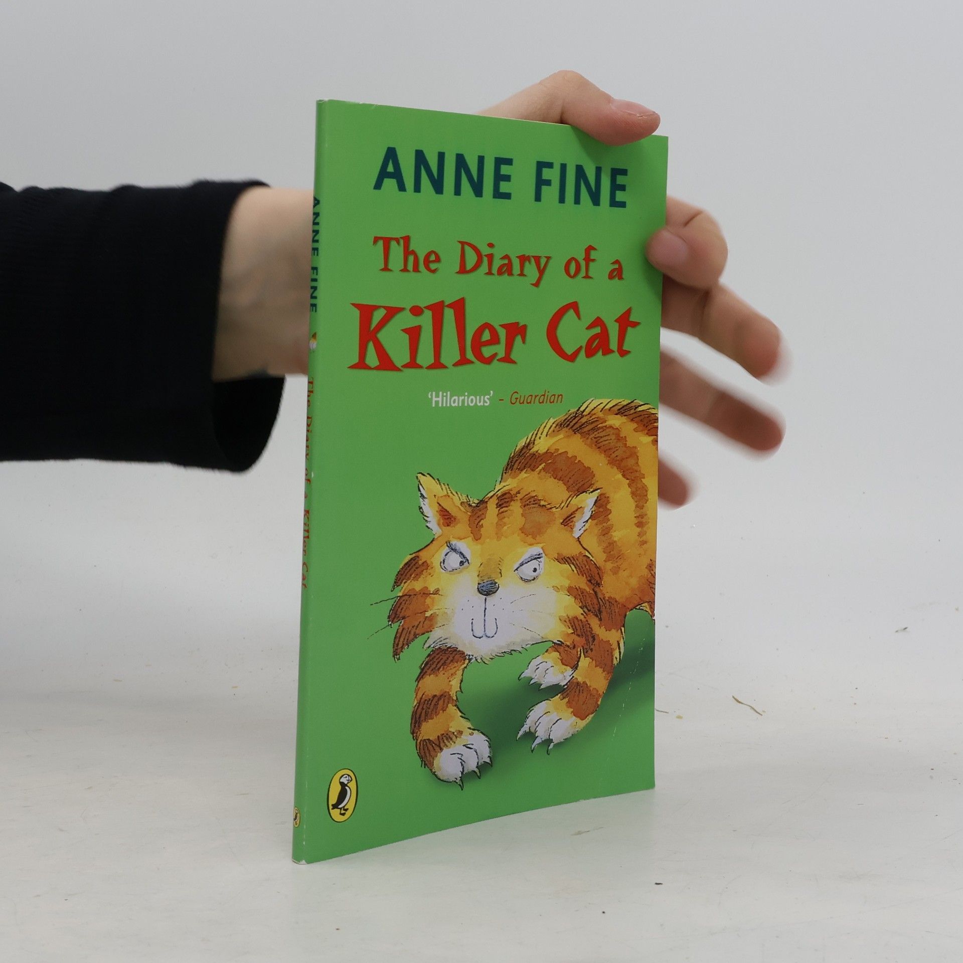 Anne Fine Diary of a Killer Cat