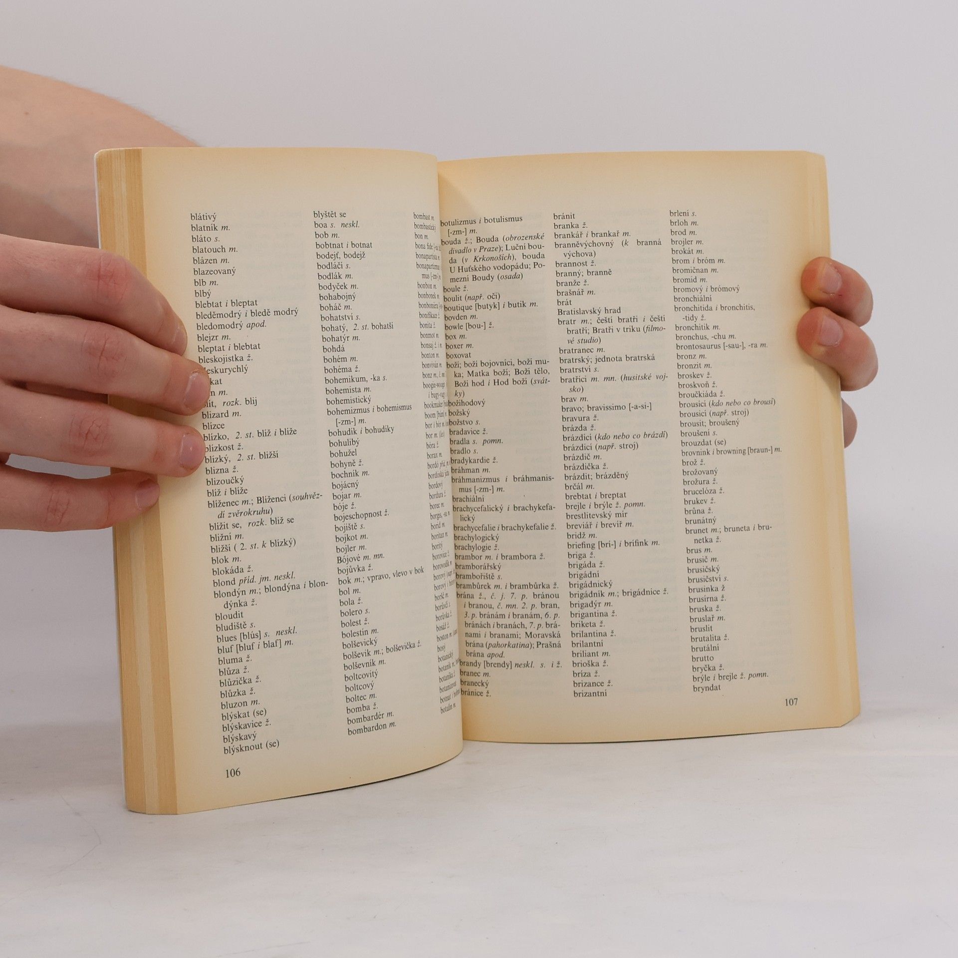 Collectif d'auteurs Pravidla českého pravopisu