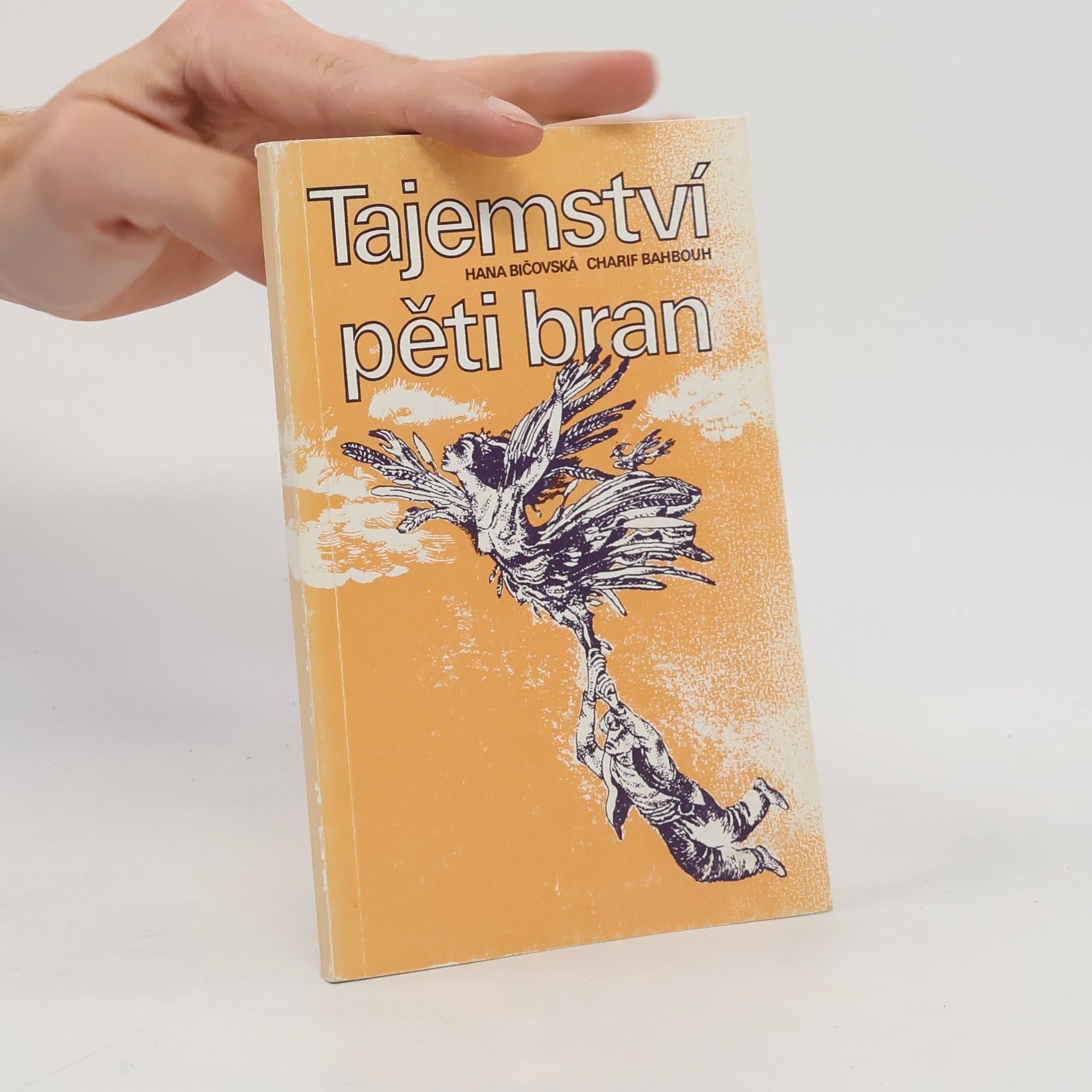 Tajemství pěti bran