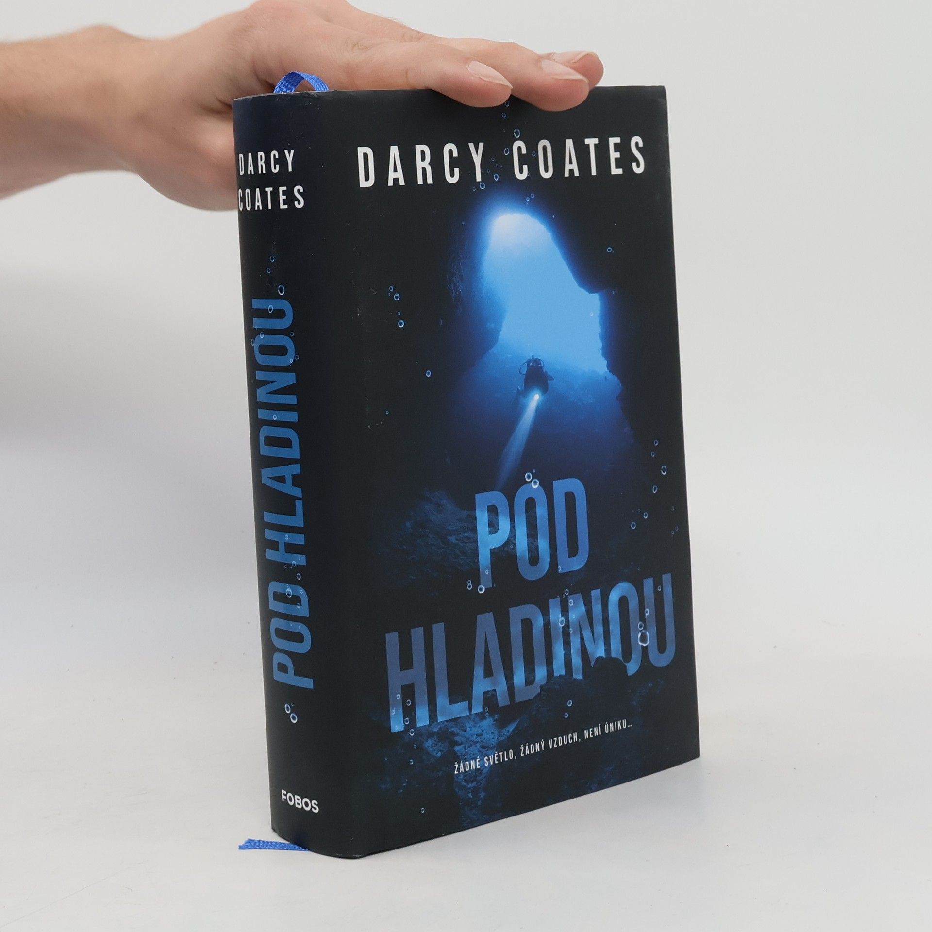 Darcy Coates Pod hladinou