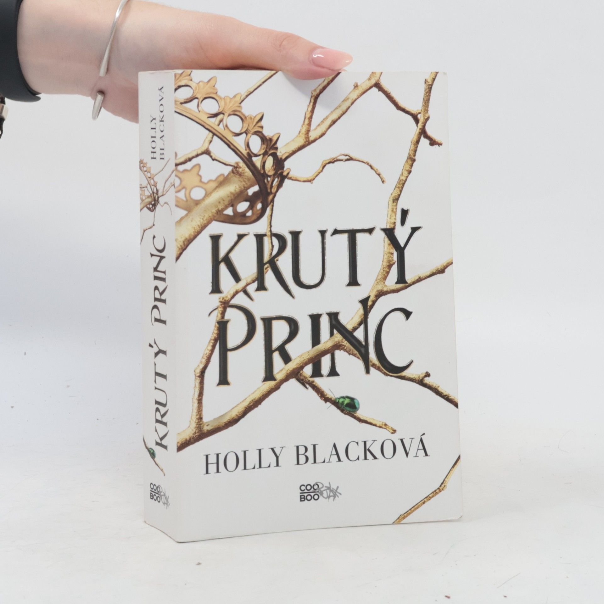 Holly Black Krutý princ