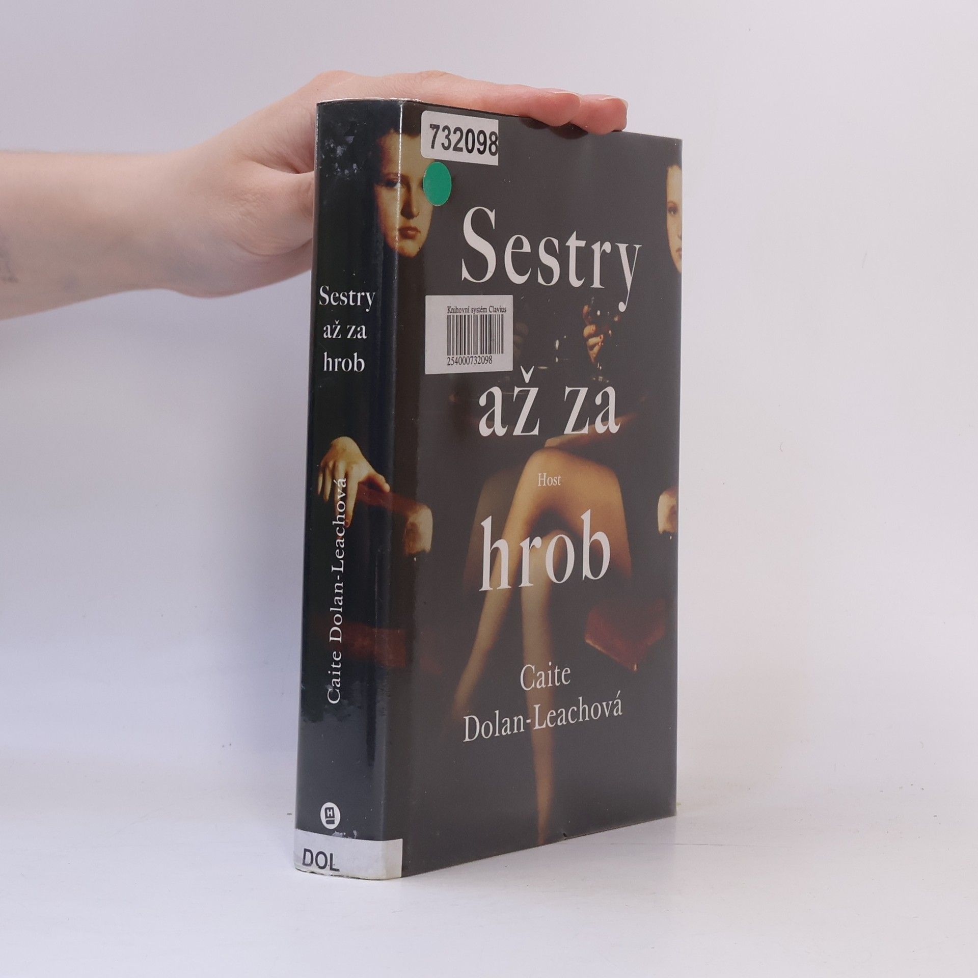 Caite Dolan-Leach Sestry až za hrob