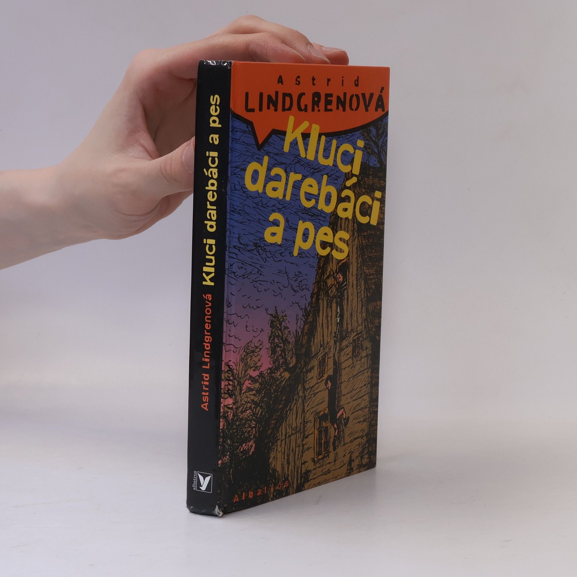 Astrid Lindgren Kluci darebáci a pes