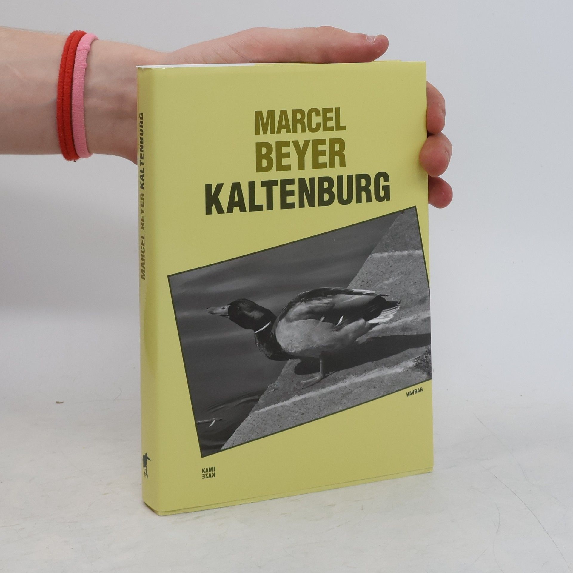 Marcel Beyer Kaltenburg