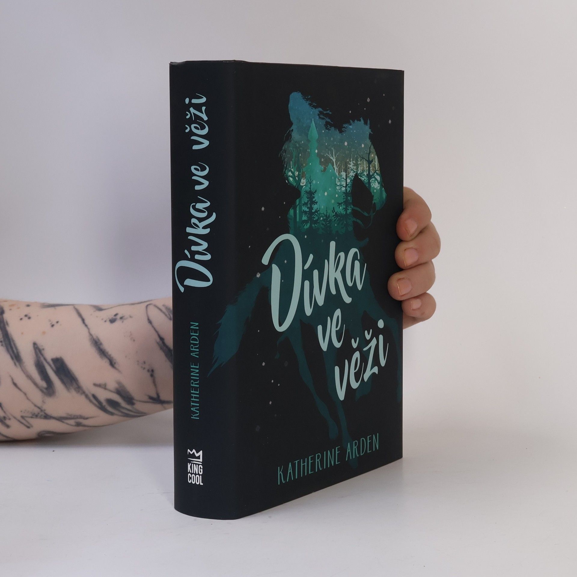 Katherine Arden Dívka ve věži