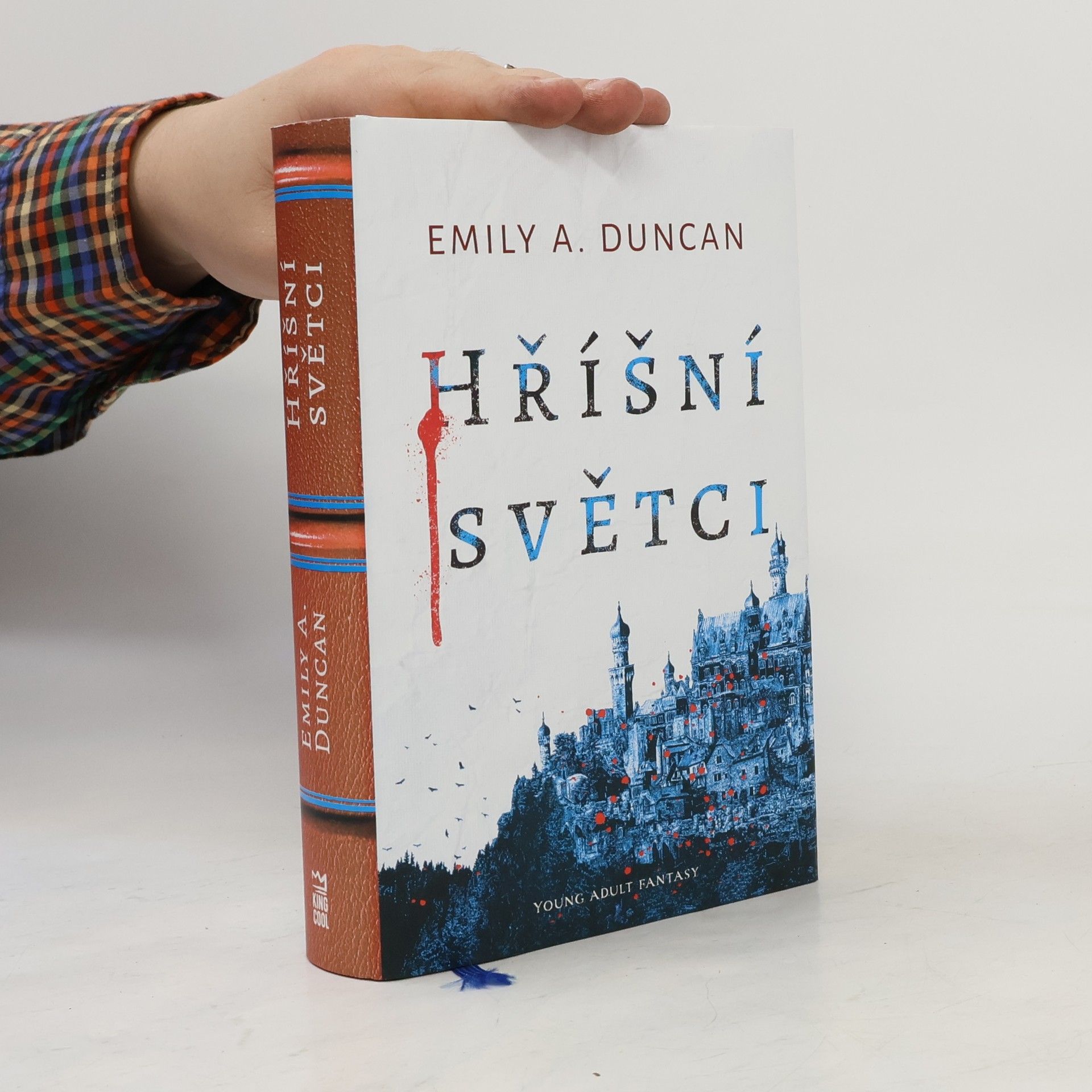 Emily A. Duncan Hříšní světci