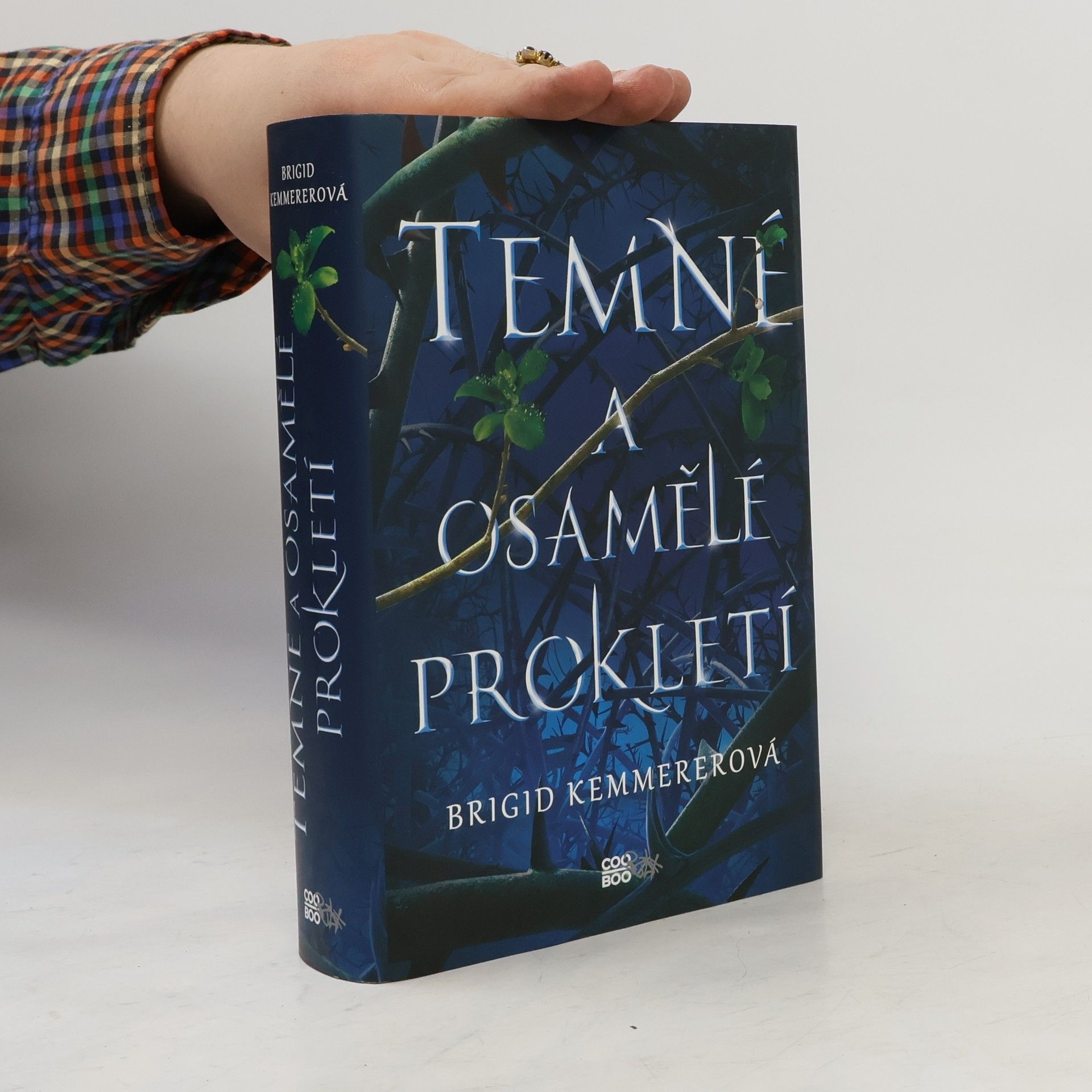 Brigid Kemmerer Temné a osamělé prokletí