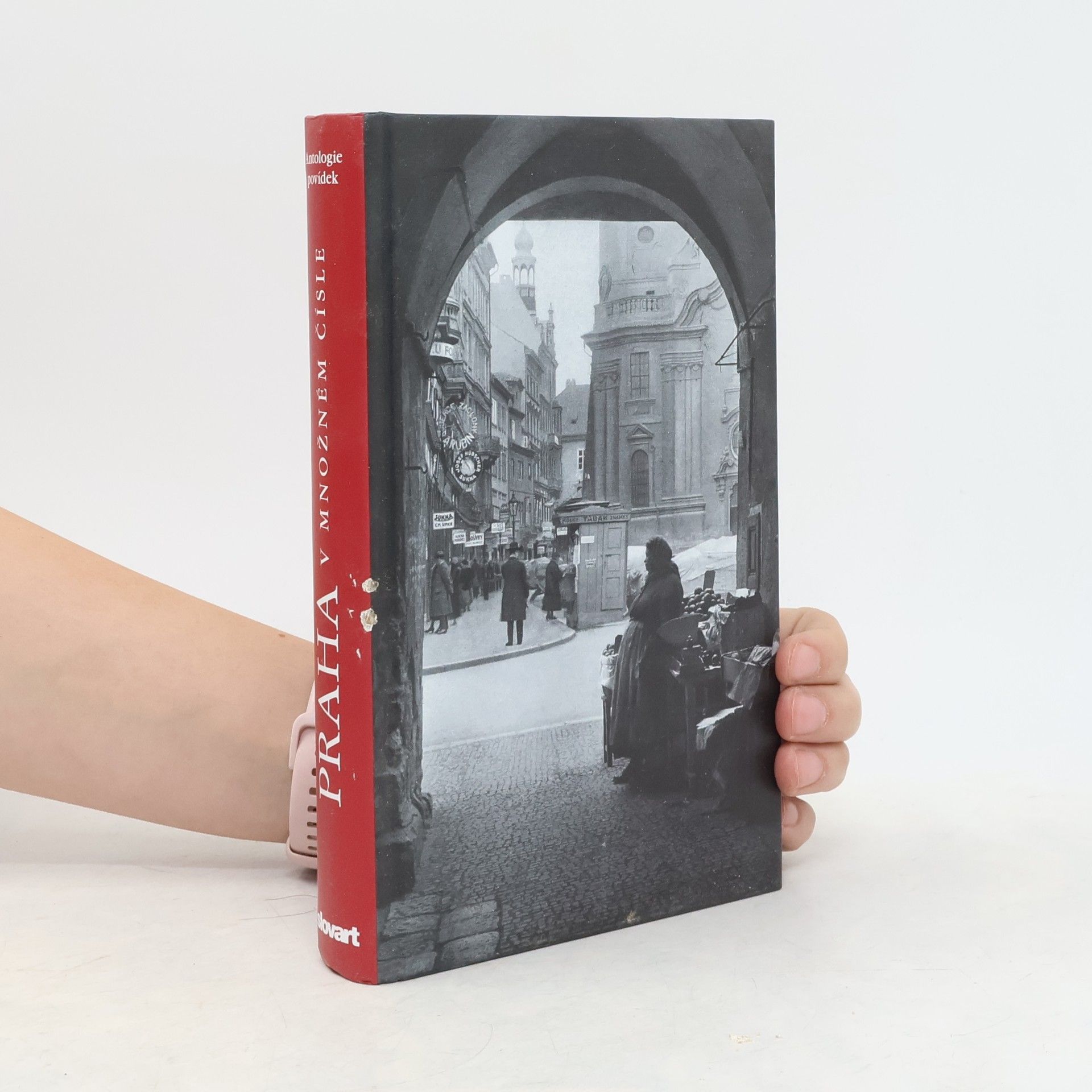 Collectif d'auteurs Praha v množném čísle