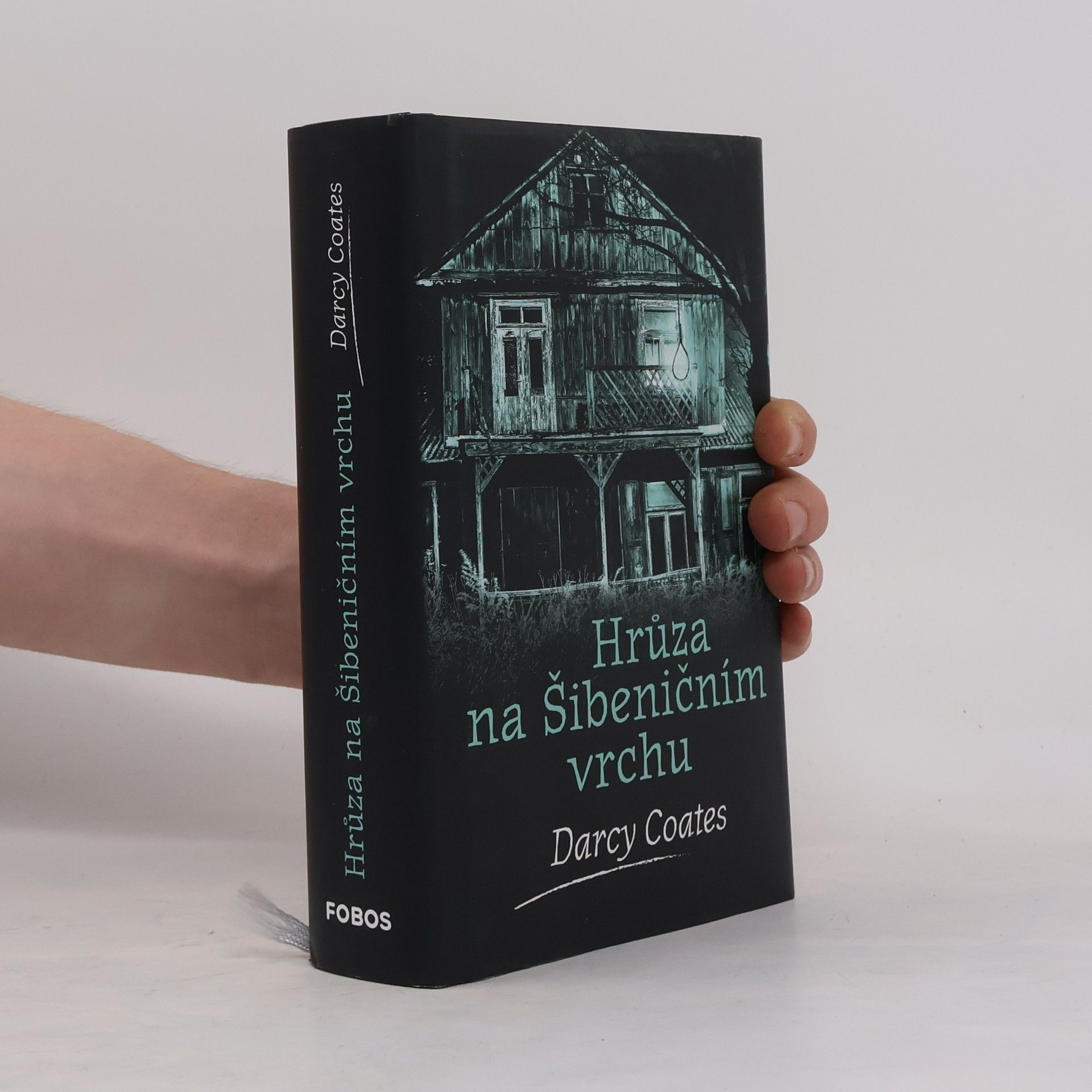 Darcy Coates Hrůza na Šibeničním vrchu